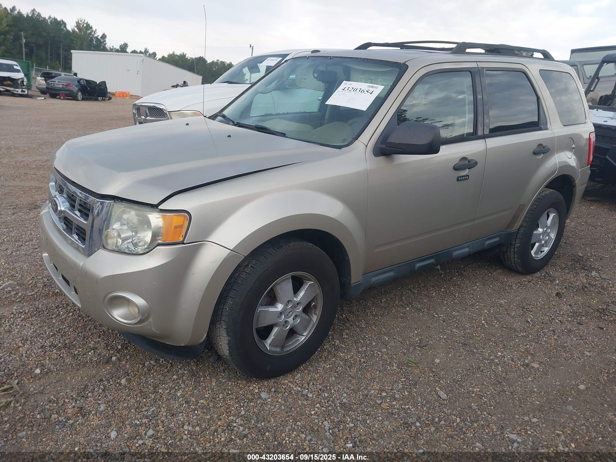 FORD ESCAPE image 2