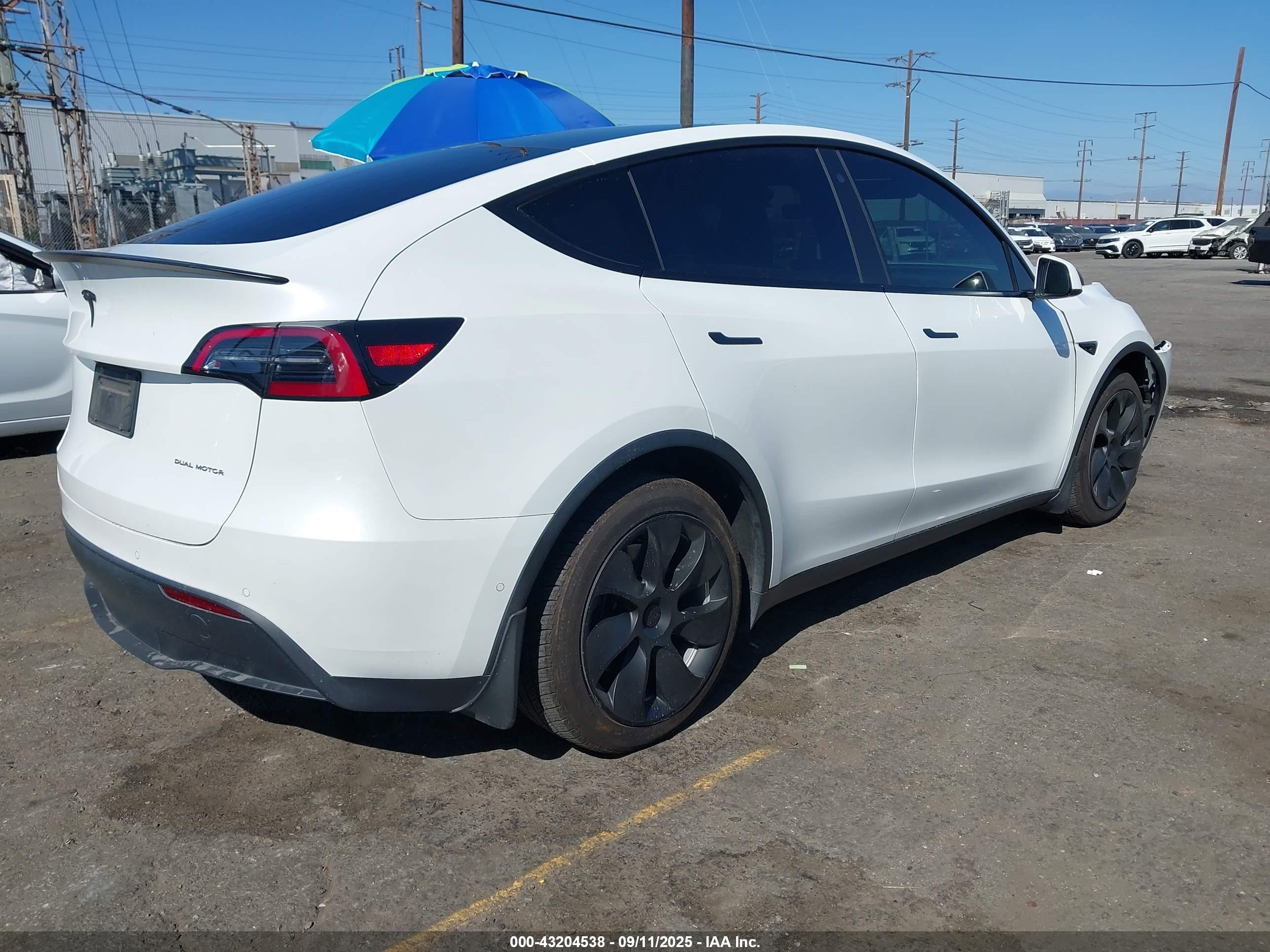 TESLA MODEL image 4