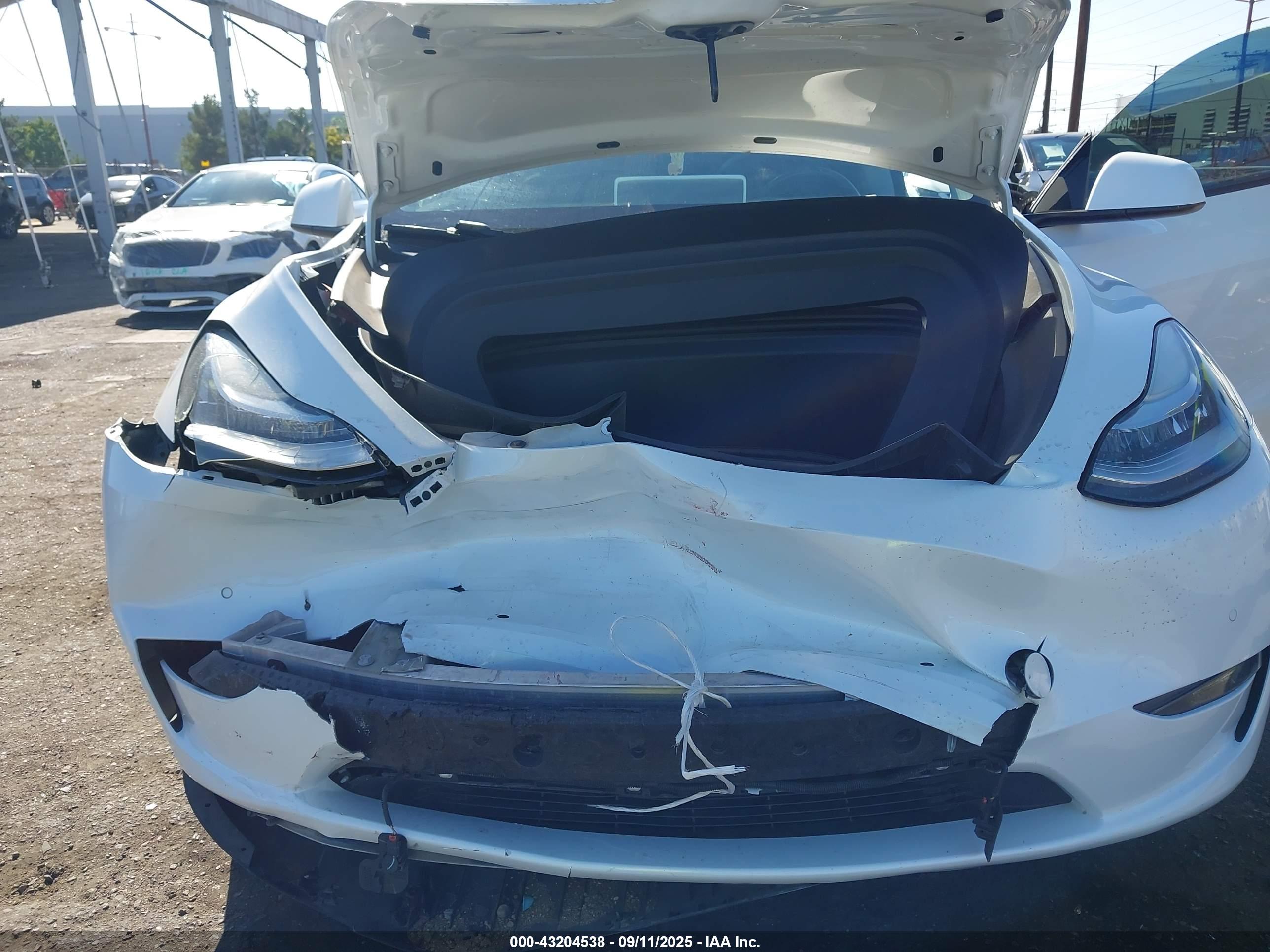 TESLA MODEL image 6