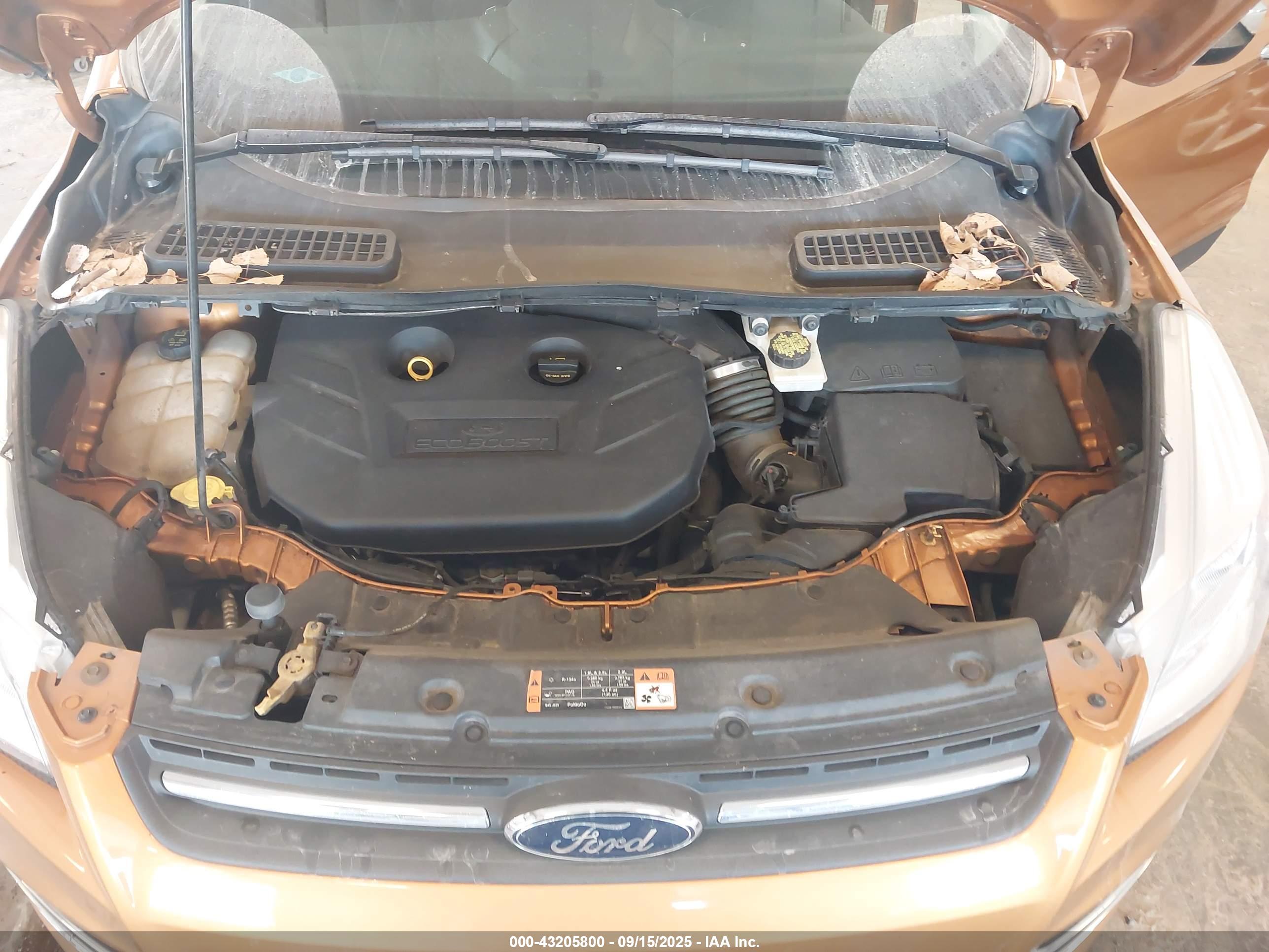 FORD ESCAPE image 10