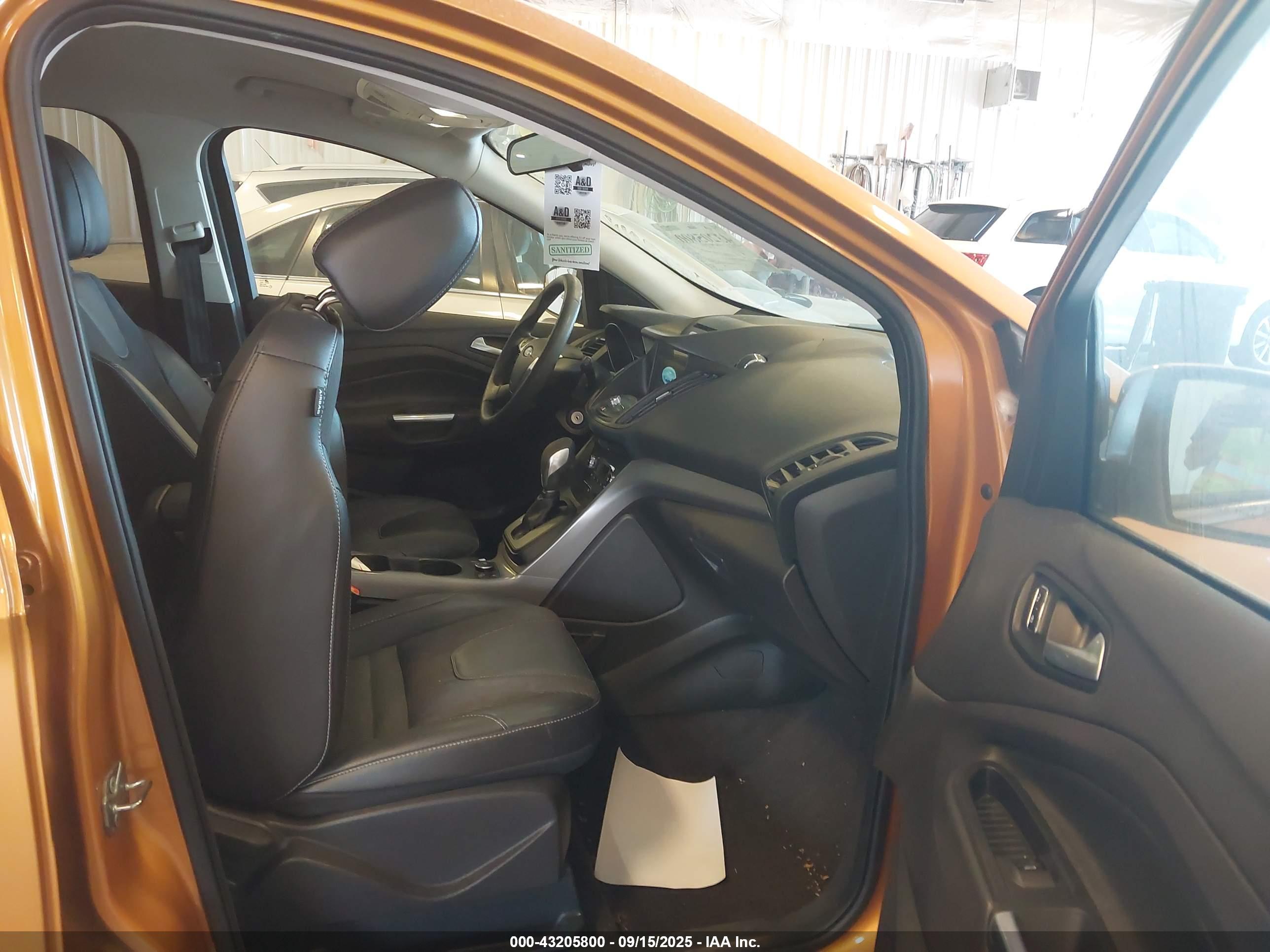 FORD ESCAPE image 5