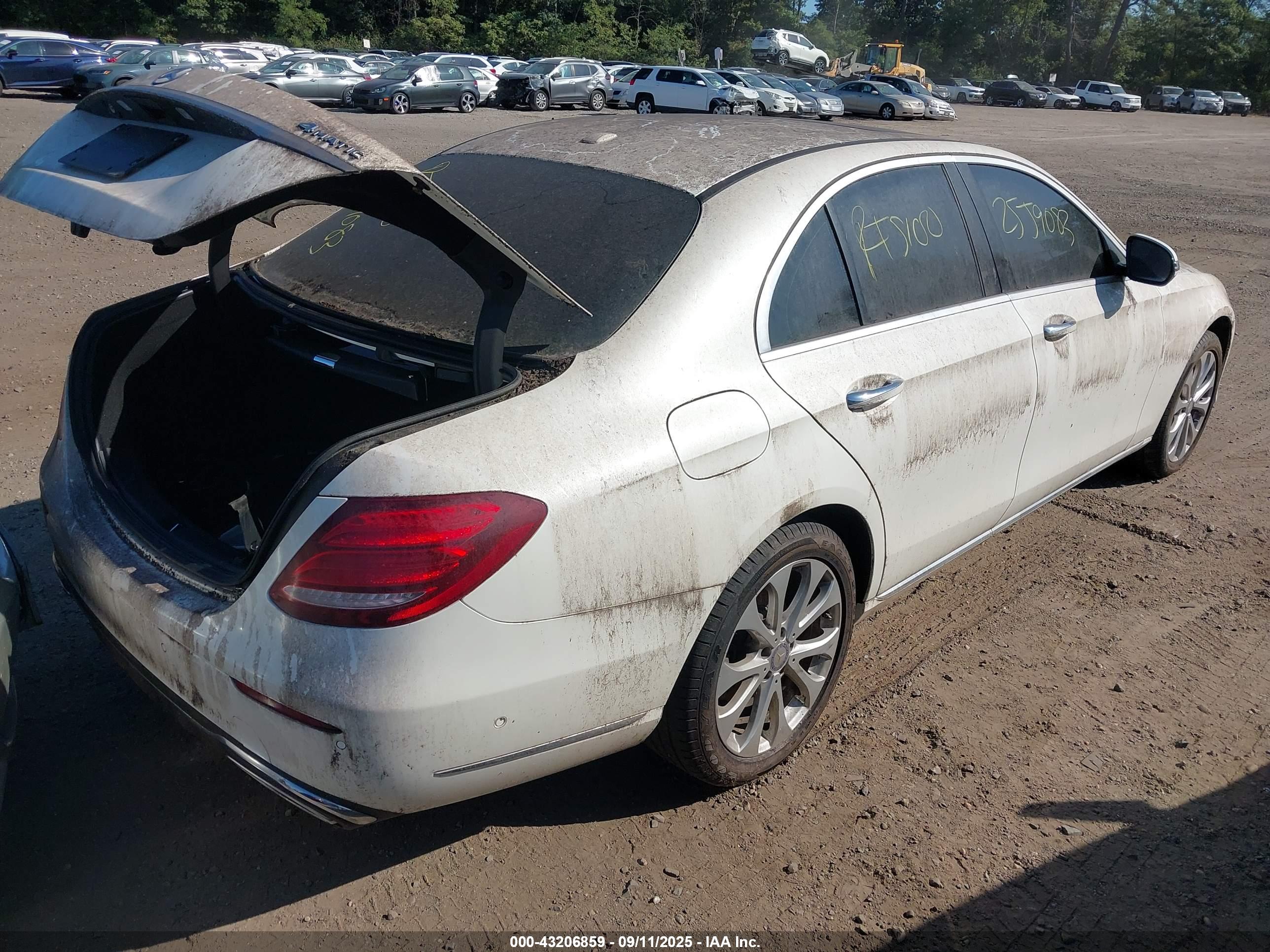 MERCEDES-BENZ E image 4