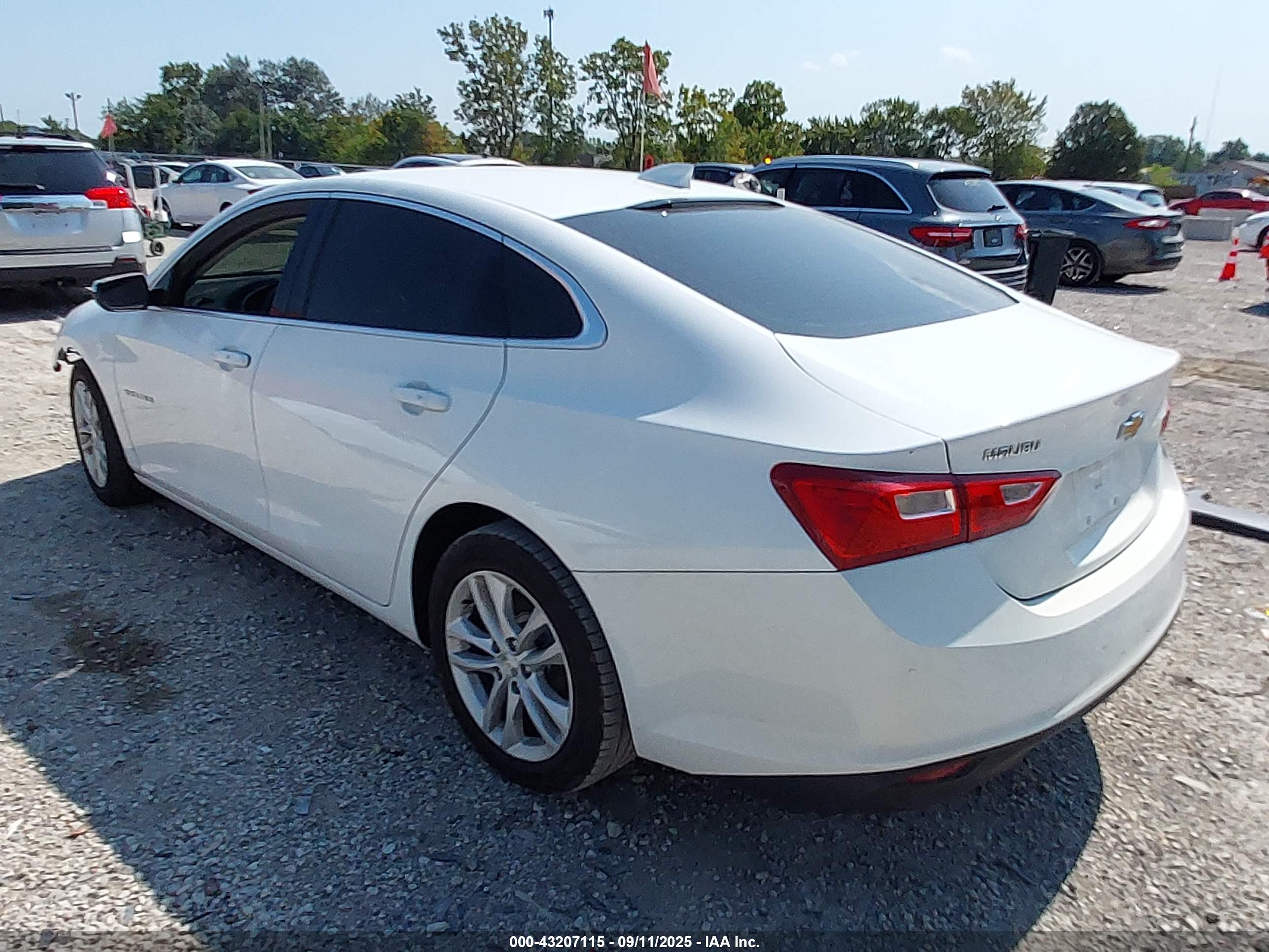 CHEVROLET MALIBU image 3