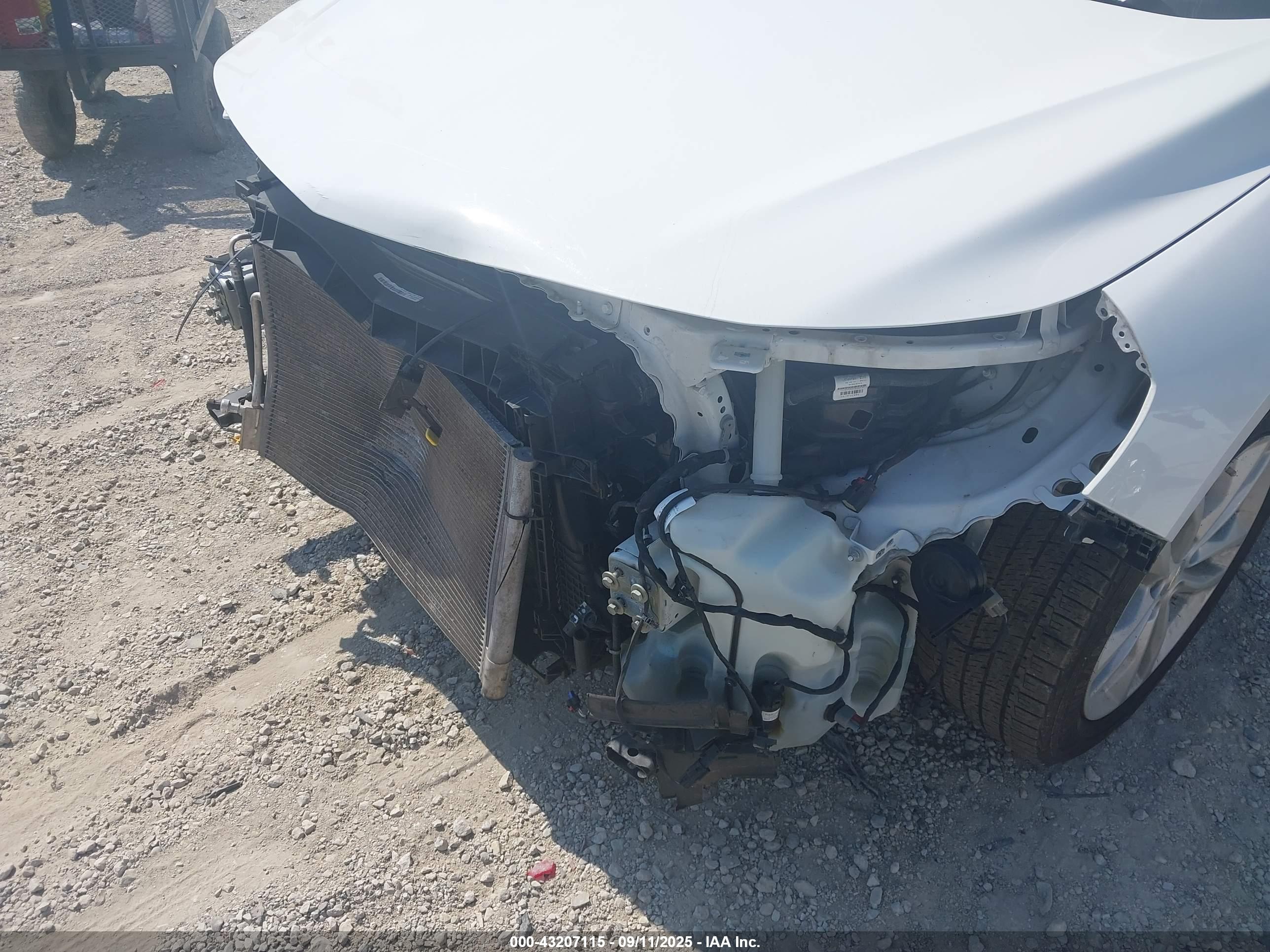 CHEVROLET MALIBU image 6