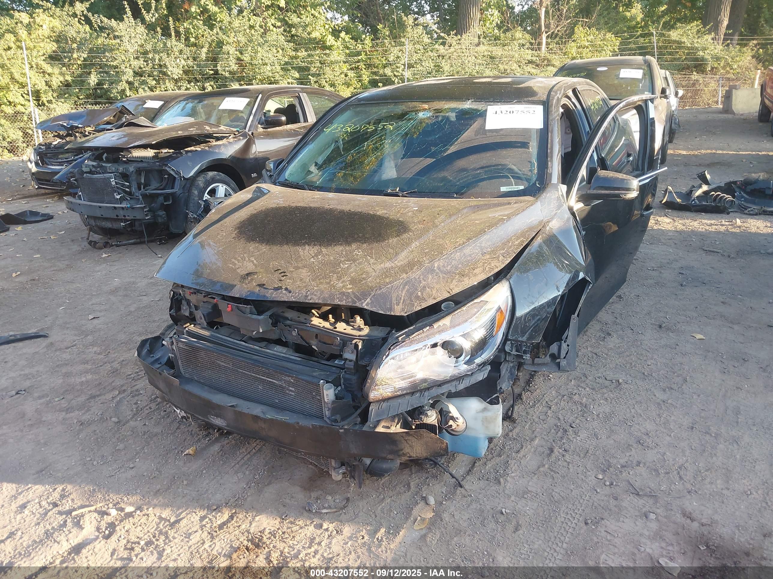 CHEVROLET MALIBU image 2