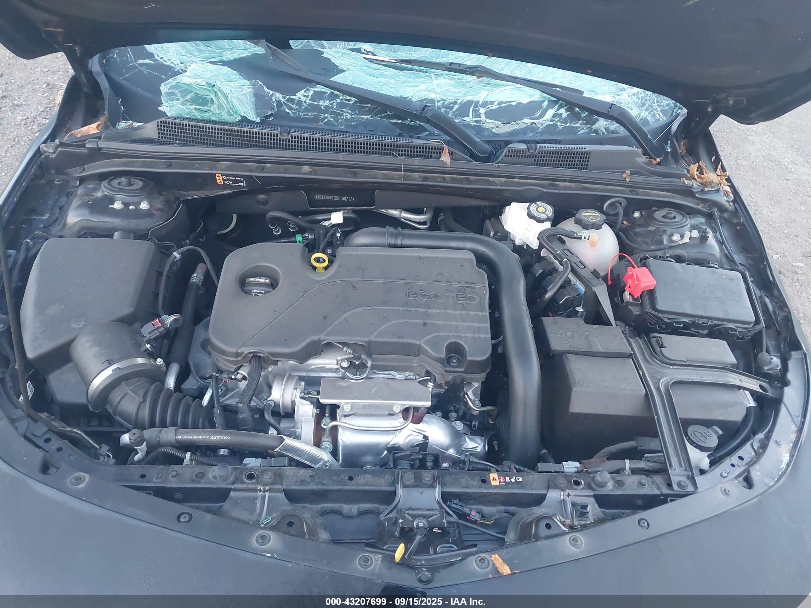 CHEVROLET MALIBU image 10