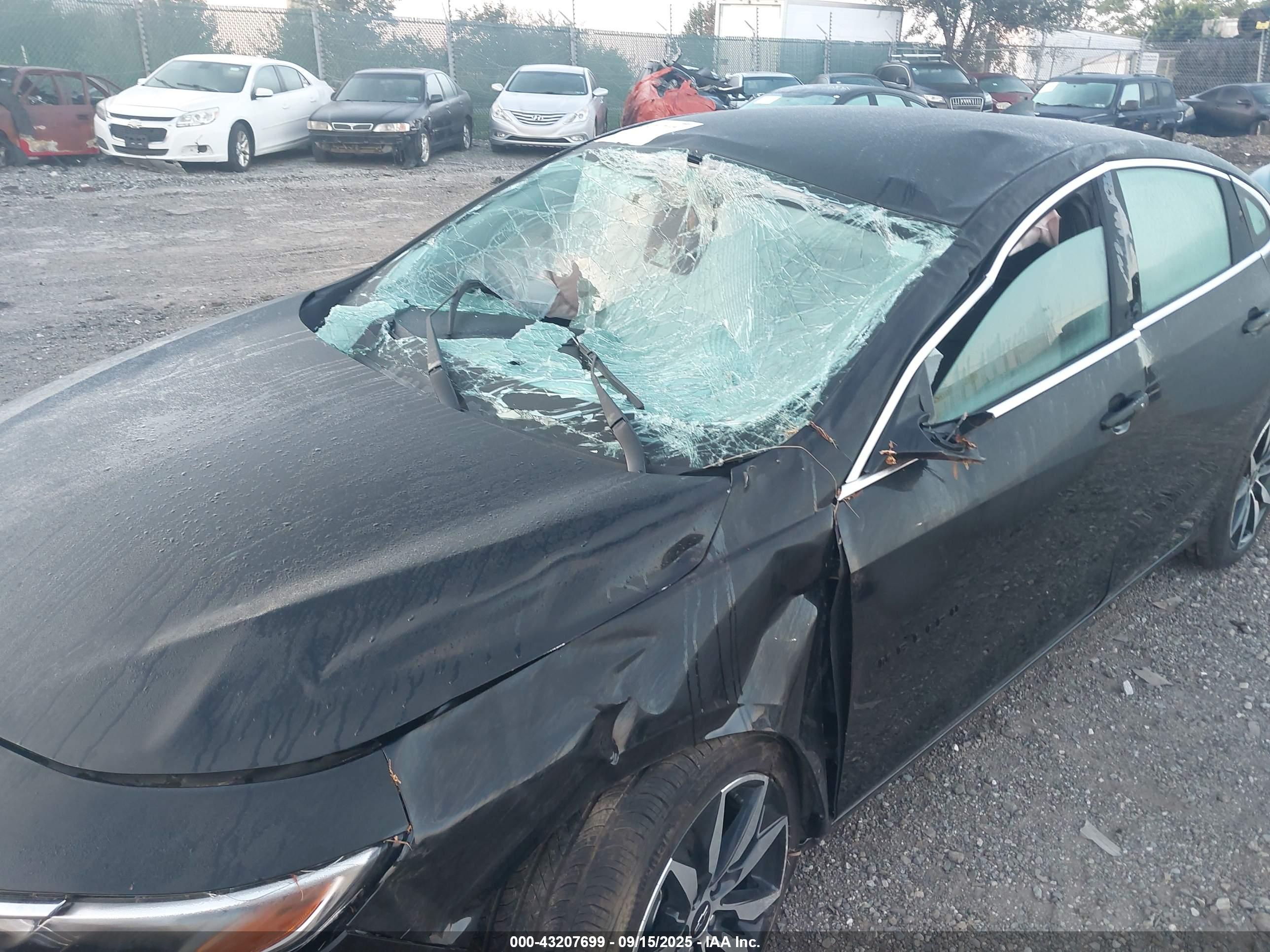 CHEVROLET MALIBU image 6