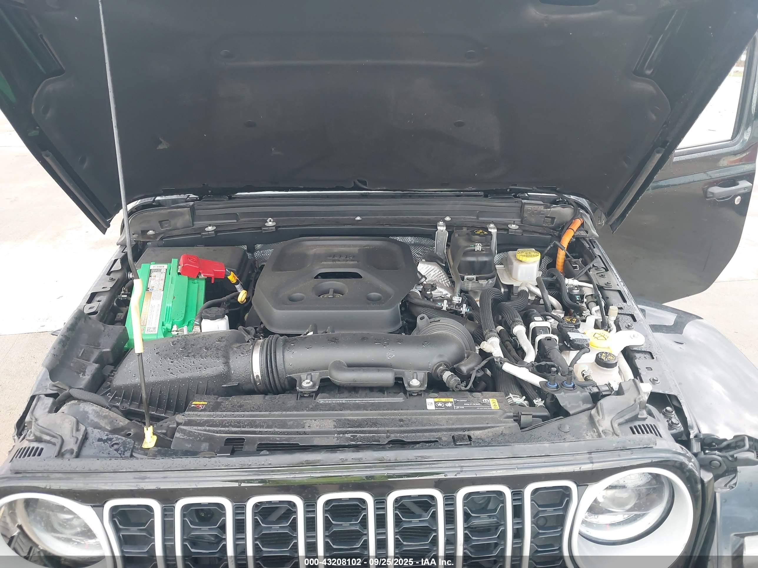 JEEP WRANGLER image 10