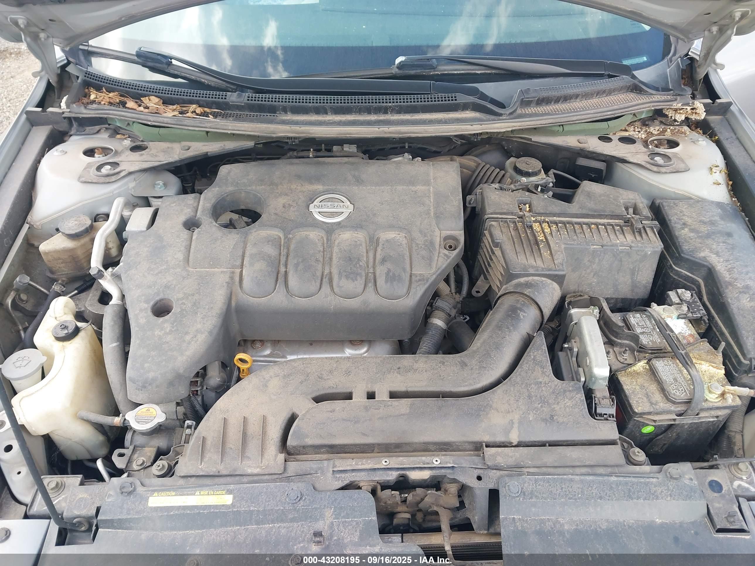 NISSAN ALTIMA image 10