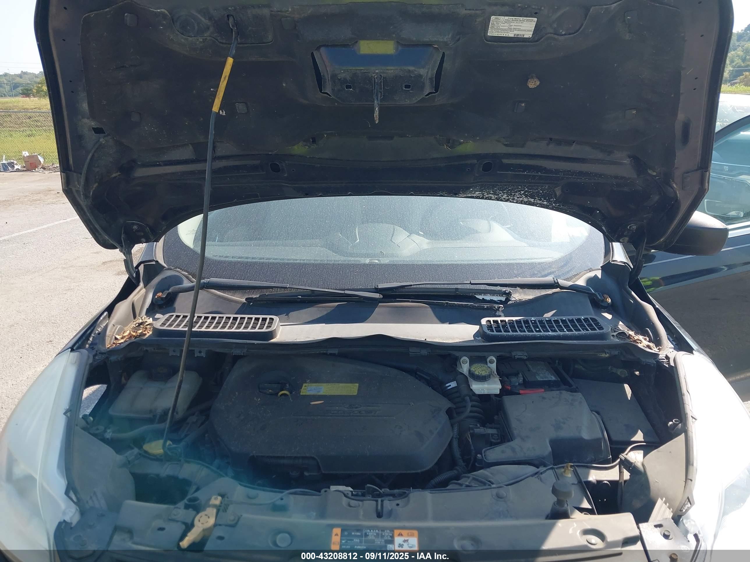 FORD ESCAPE image 10