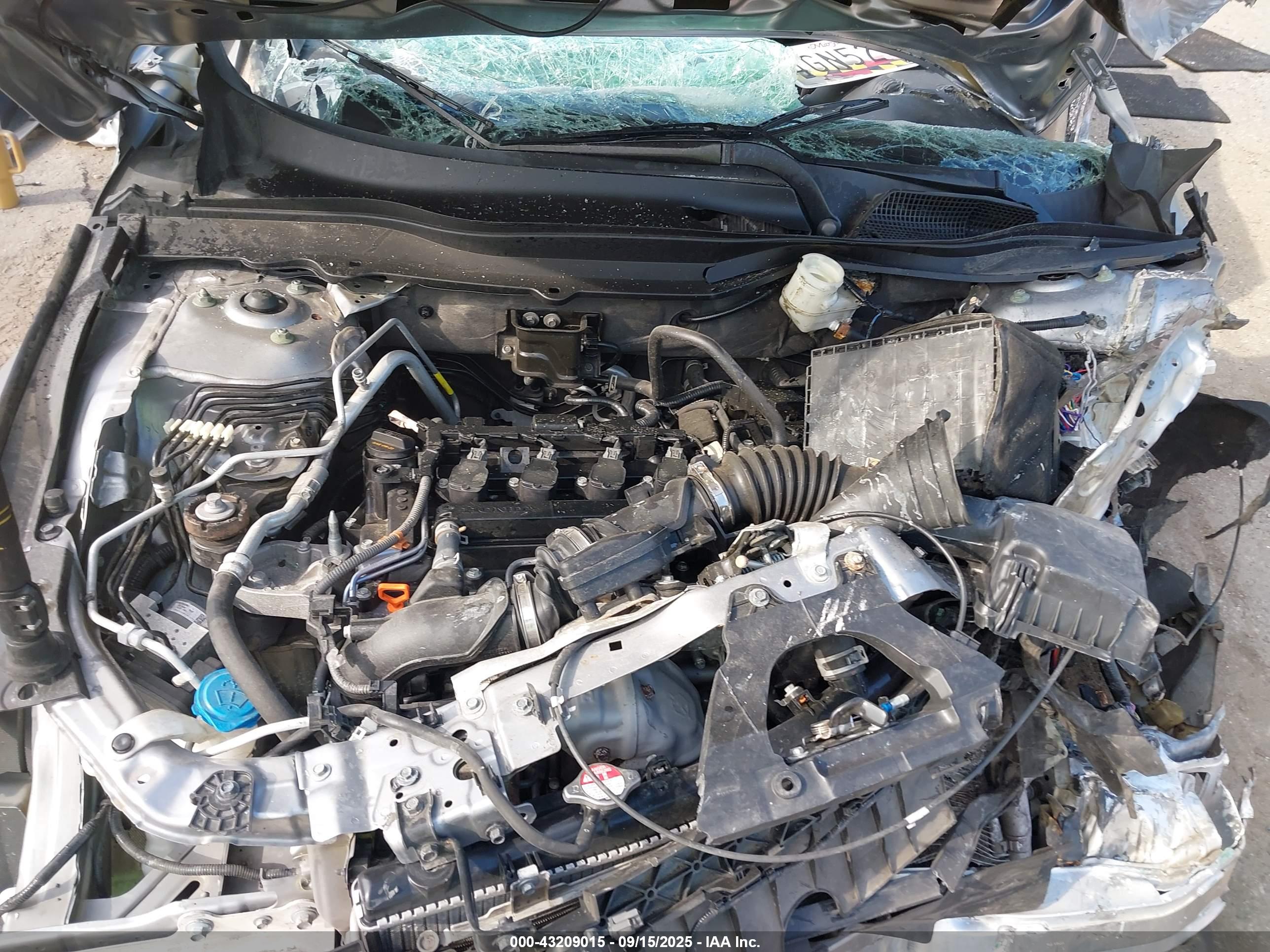 HONDA ACCORD image 10