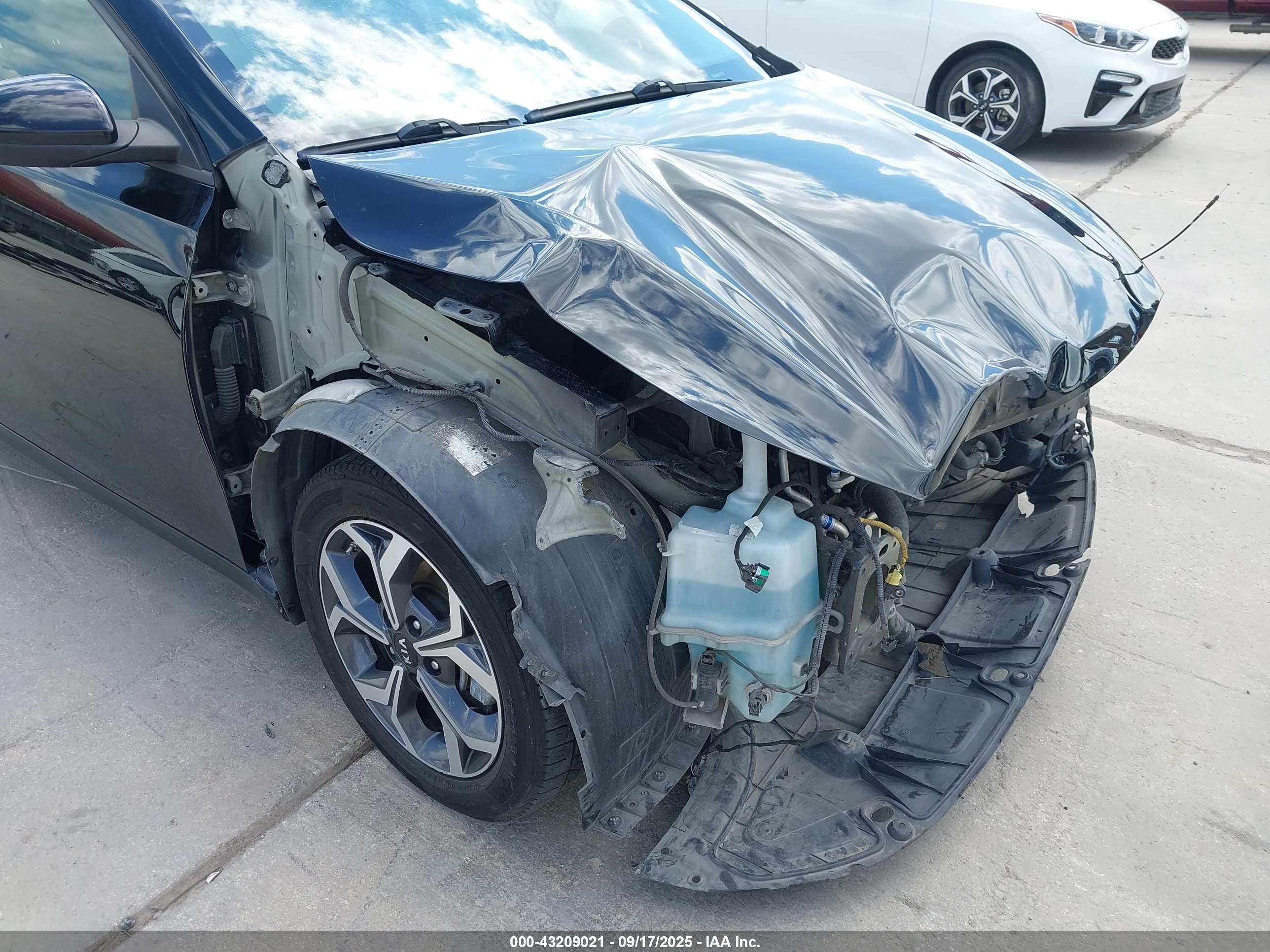 KIA FORTE image 6