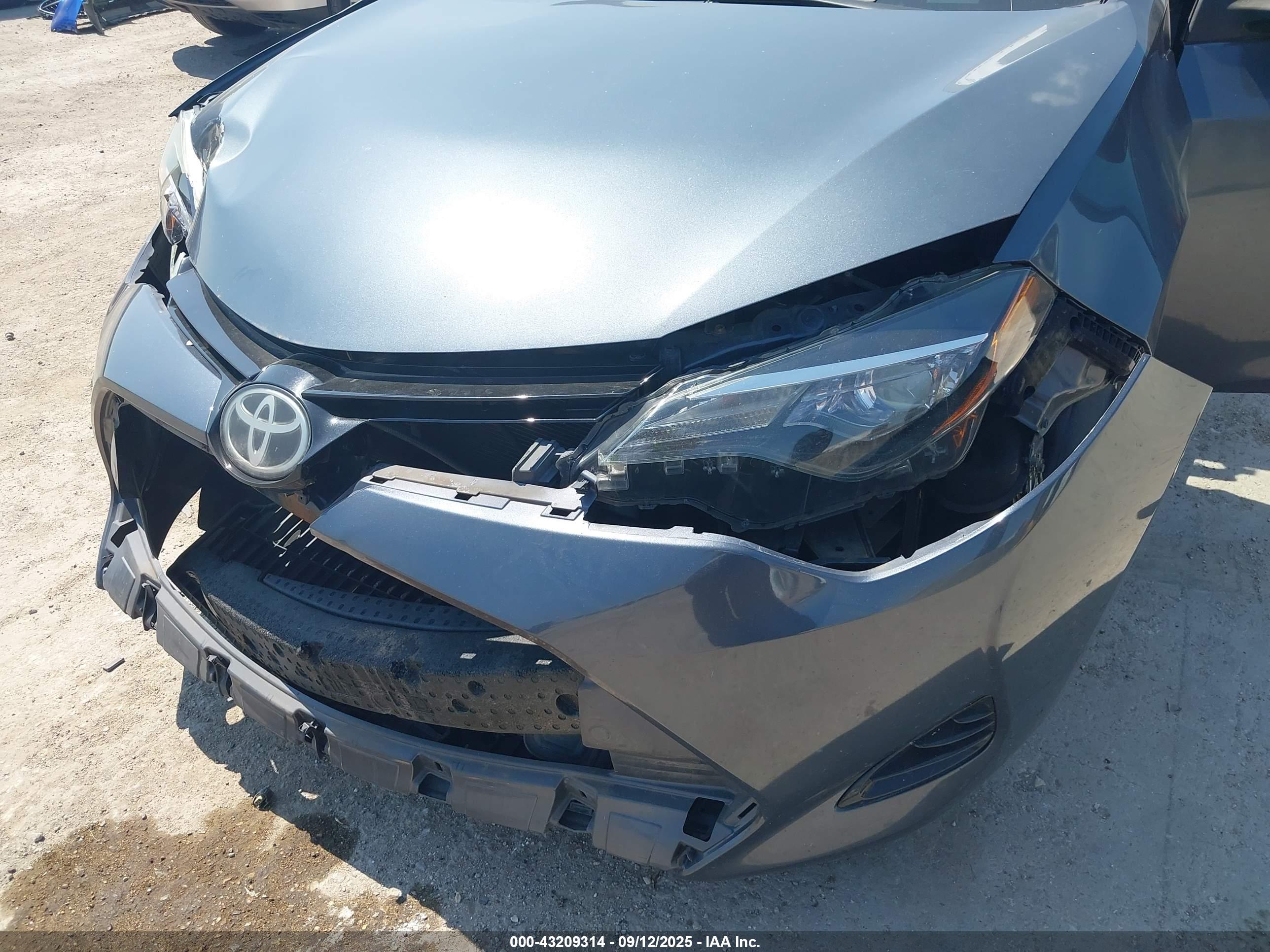 TOYOTA COROLLA image 6