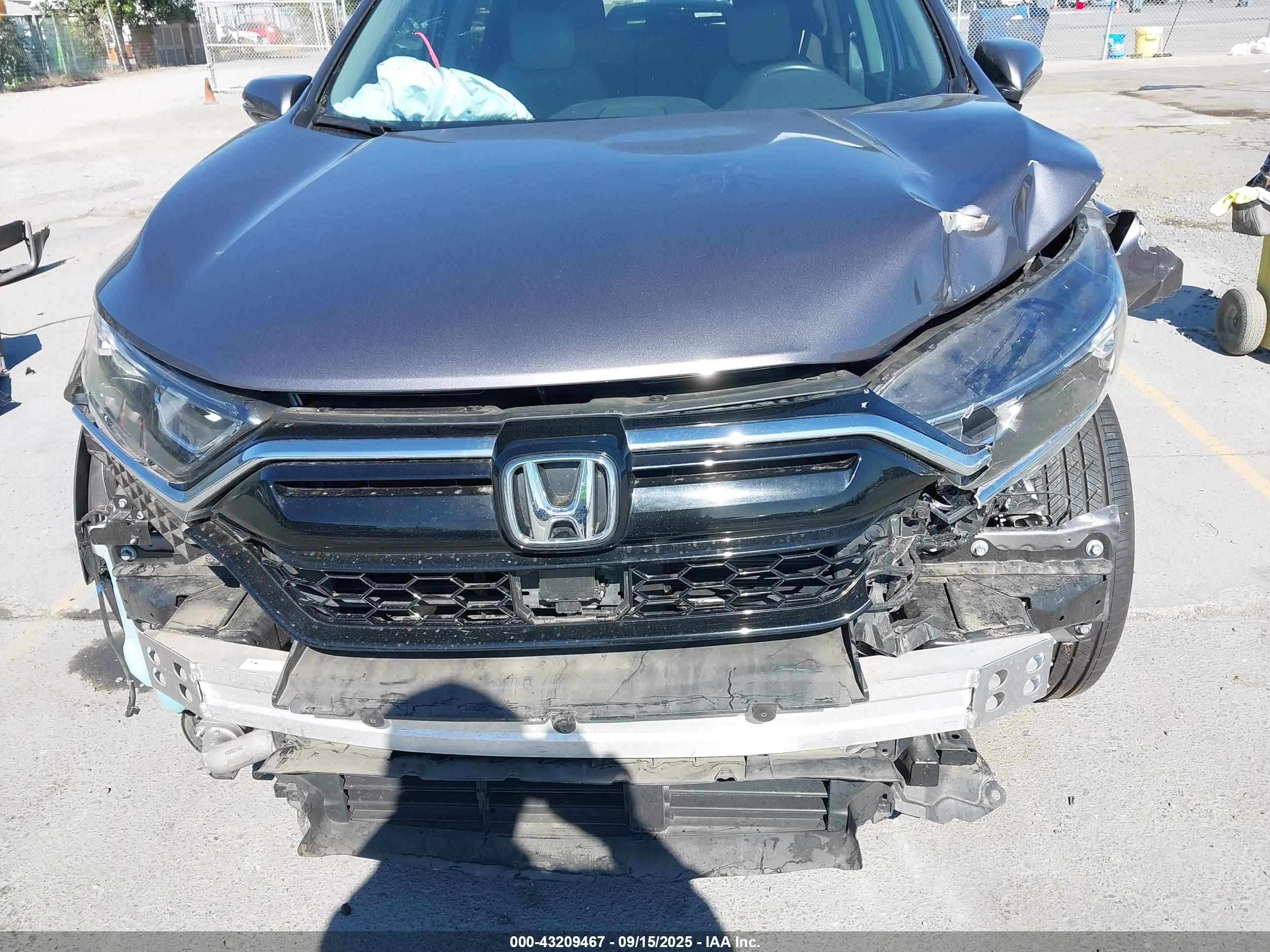 HONDA CR-V image 6