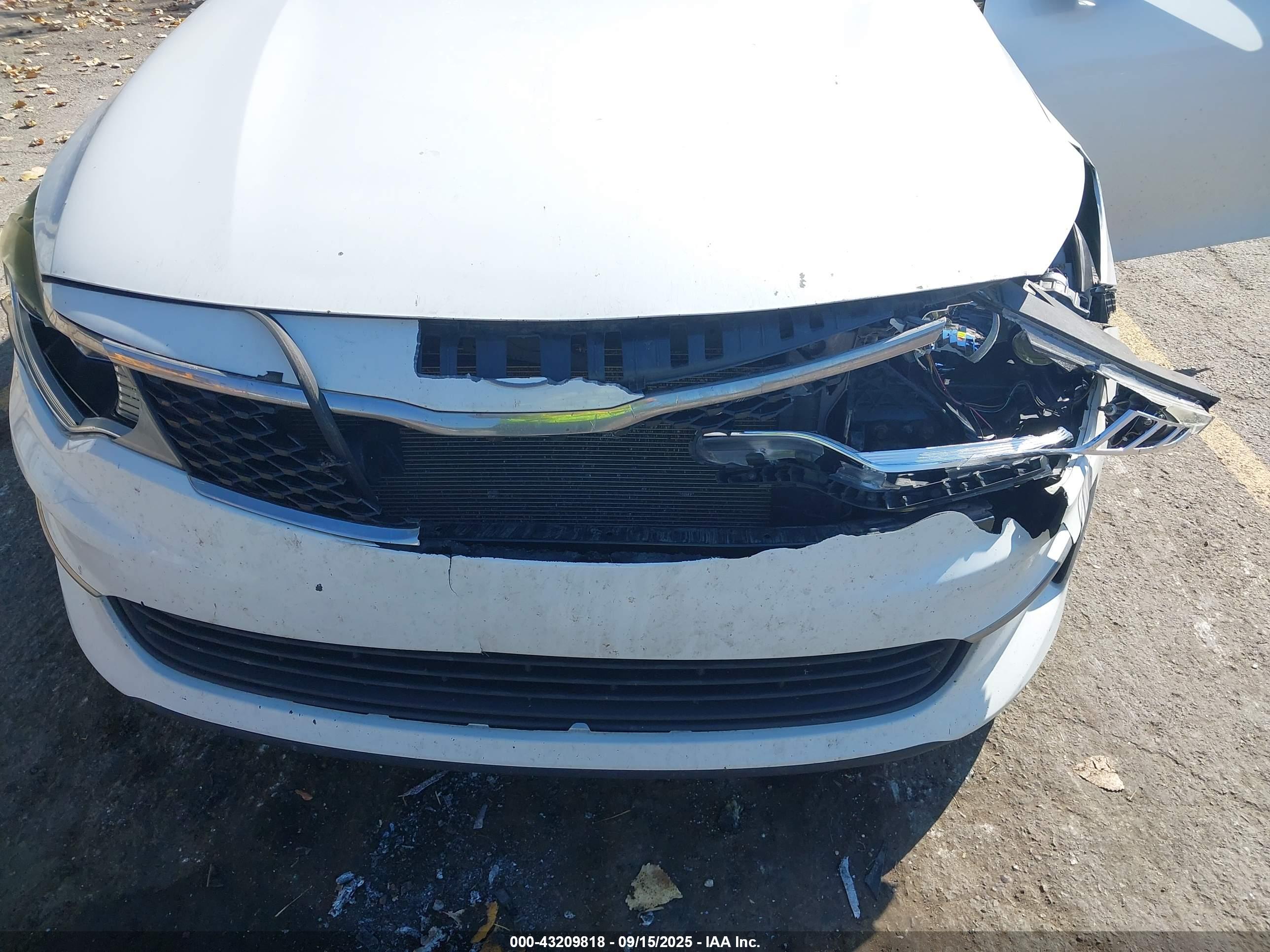 KIA OPTIMA image 6