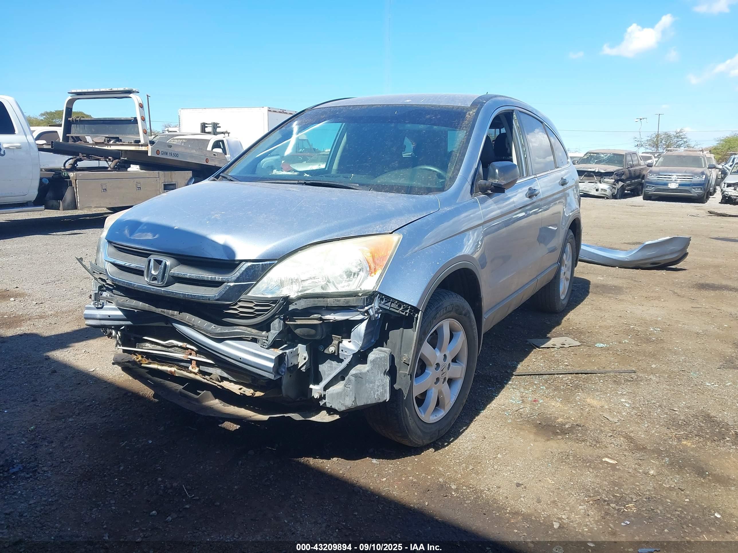 HONDA CR-V image 6