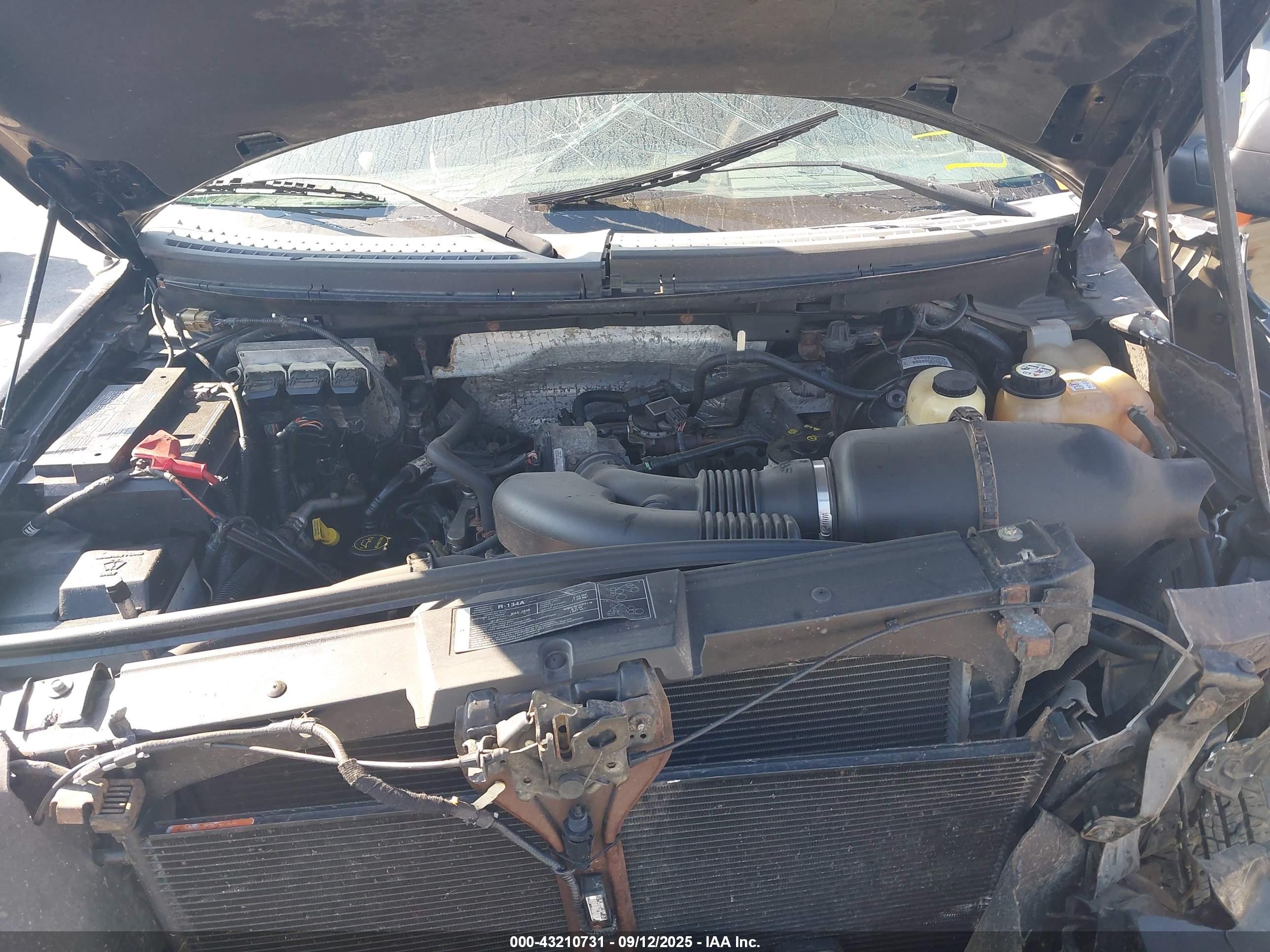 FORD F-150 image 10