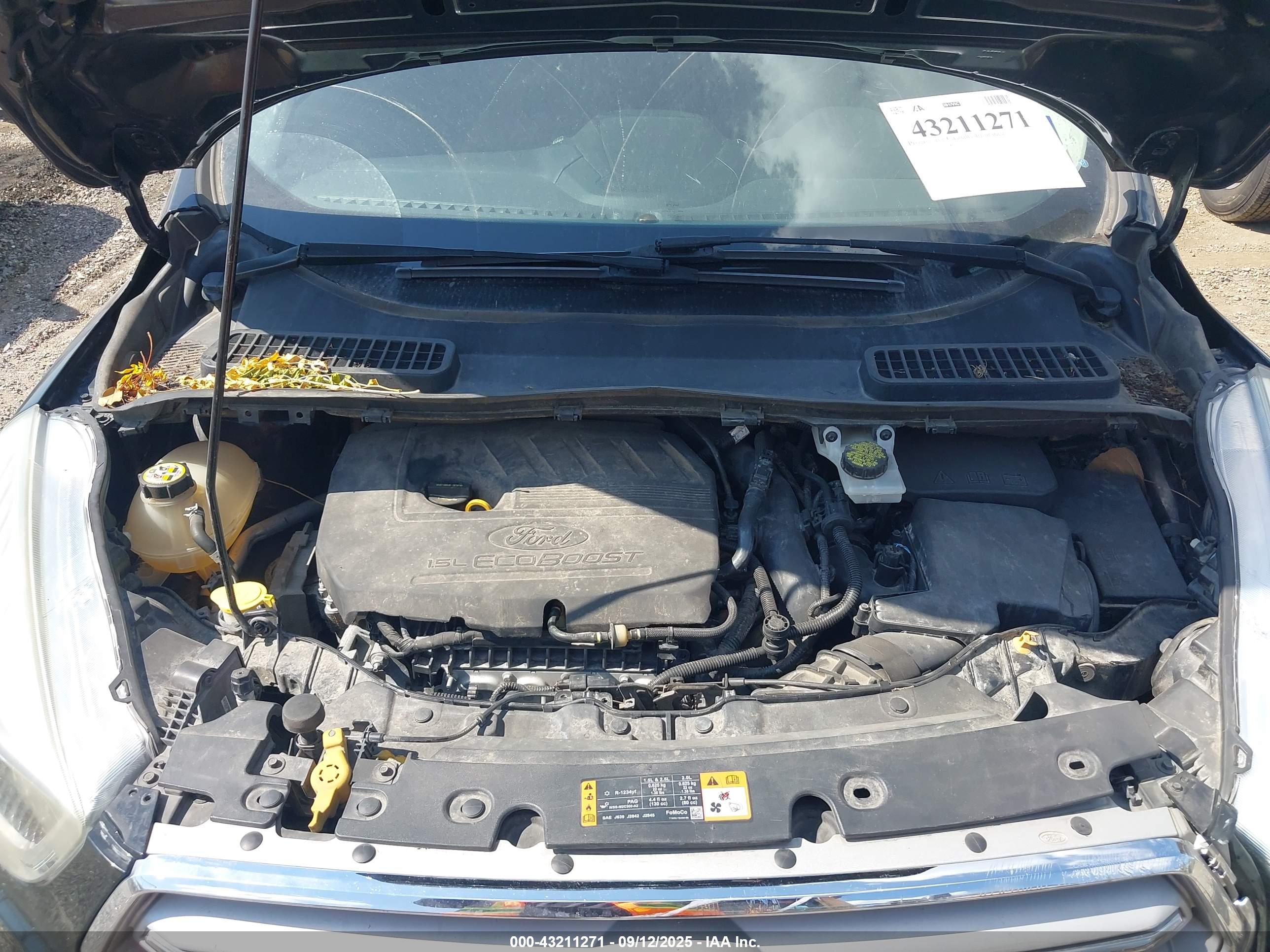 FORD ESCAPE image 10