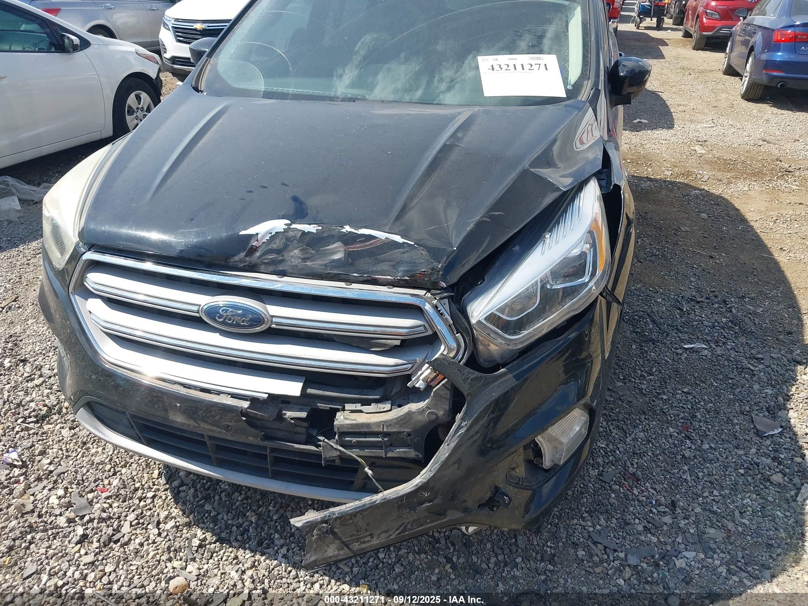 FORD ESCAPE image 6