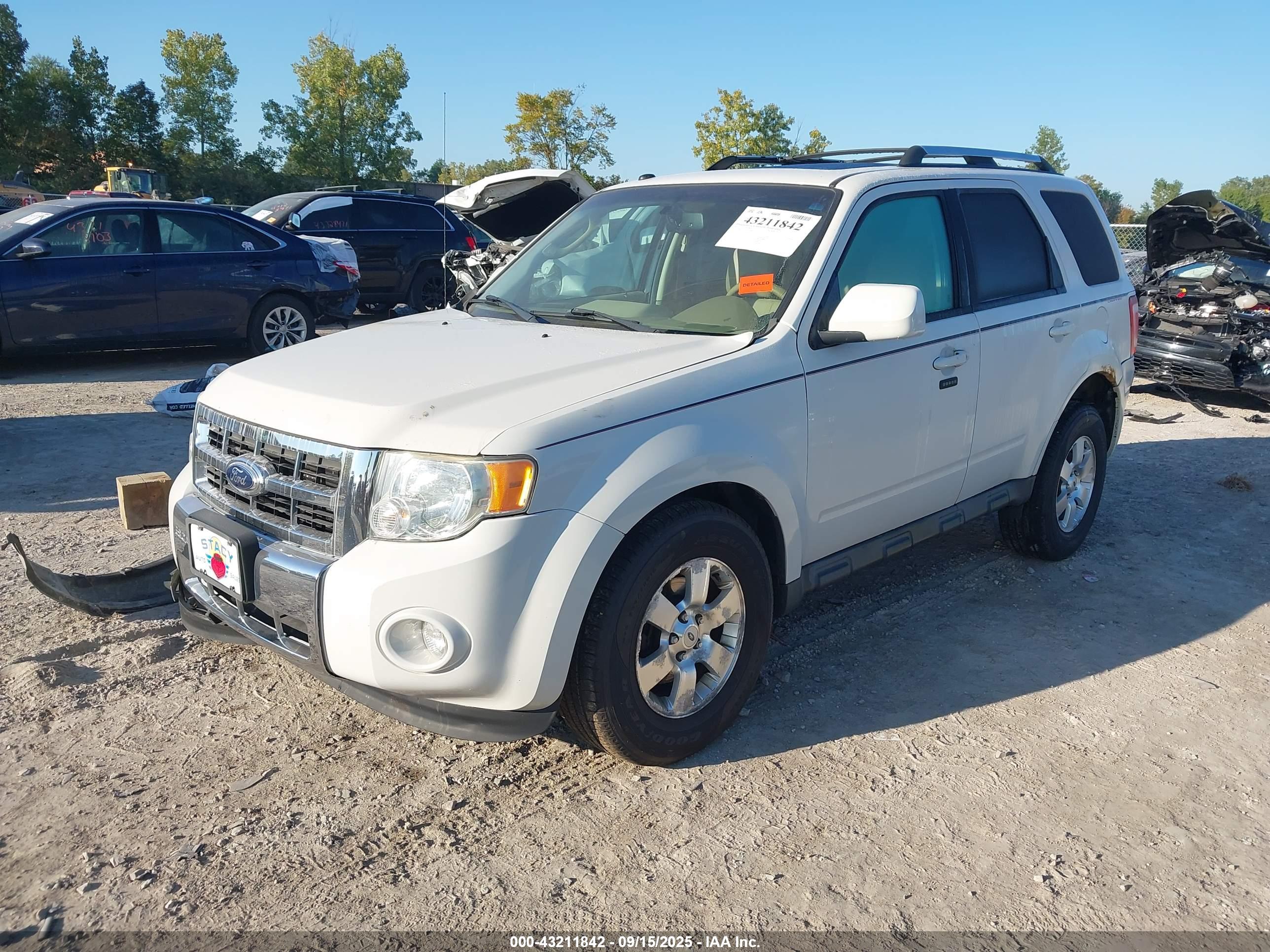 FORD ESCAPE image 2