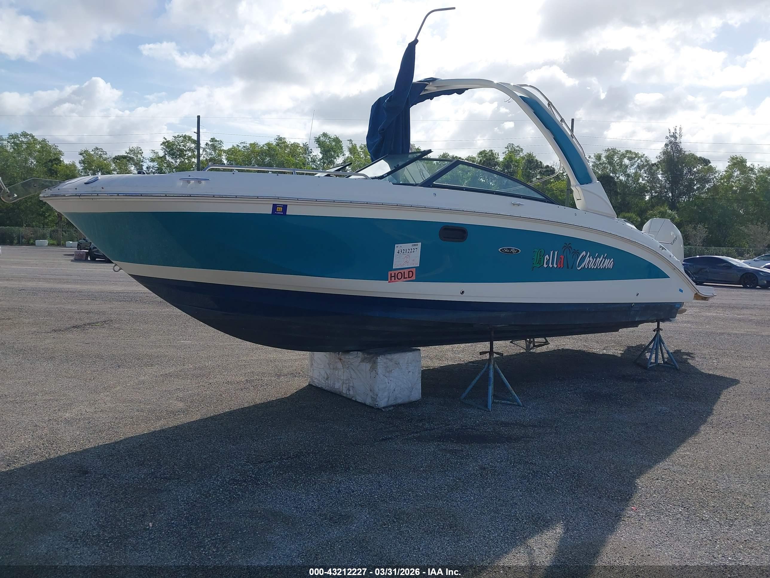 SEA RAY image 2