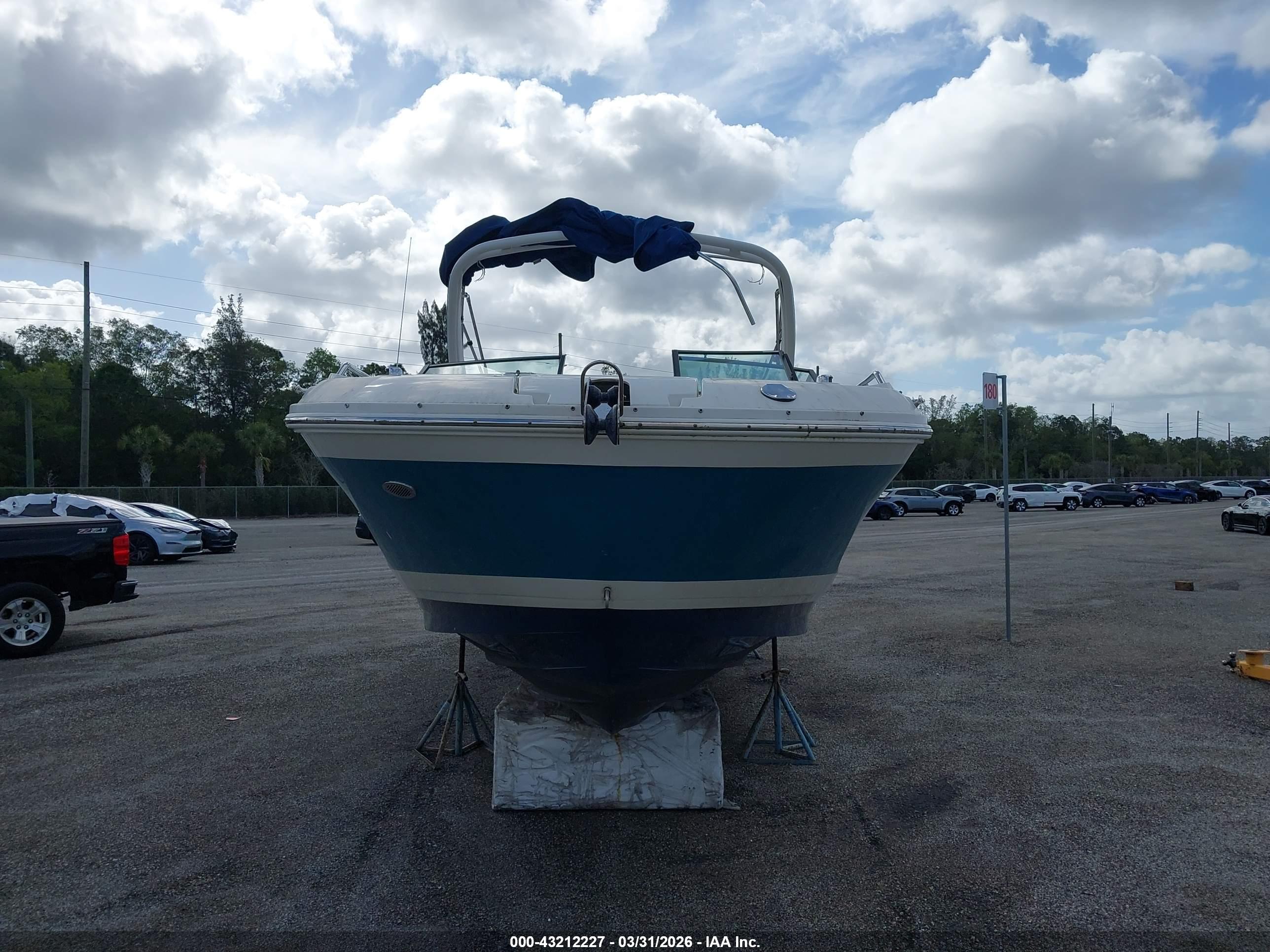 SEA RAY image 6