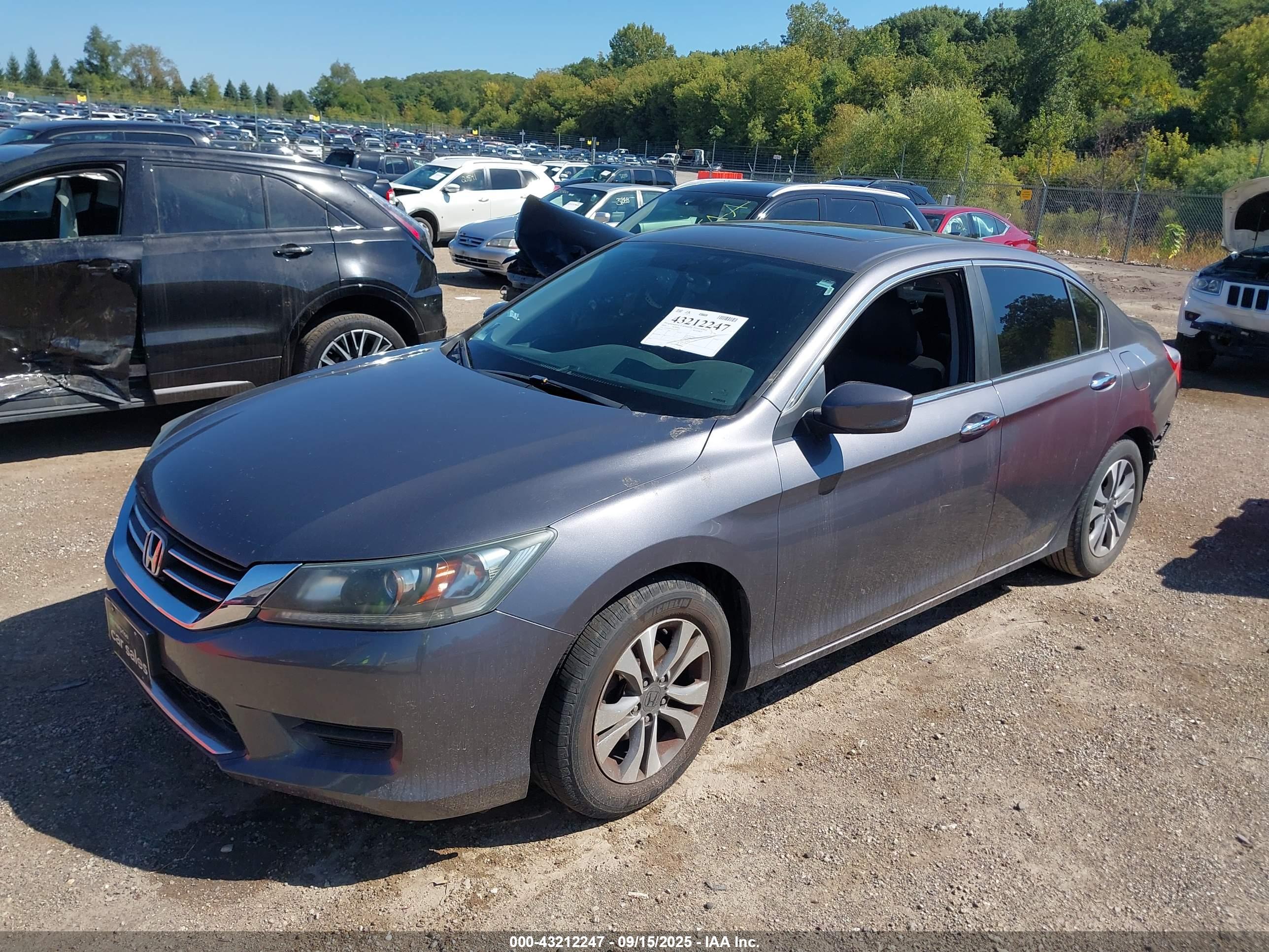 HONDA ACCORD image 2