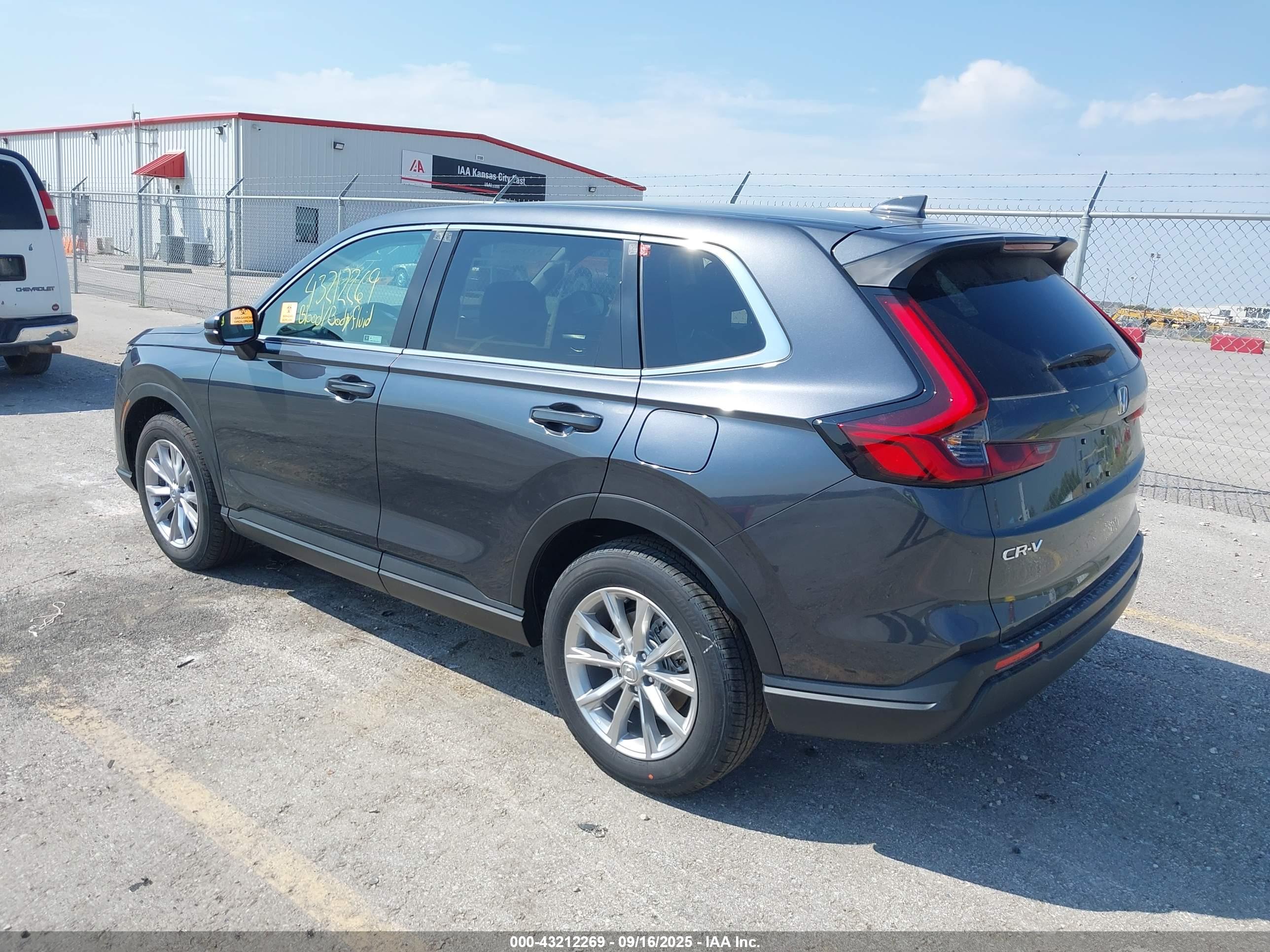 HONDA CR-V image 3