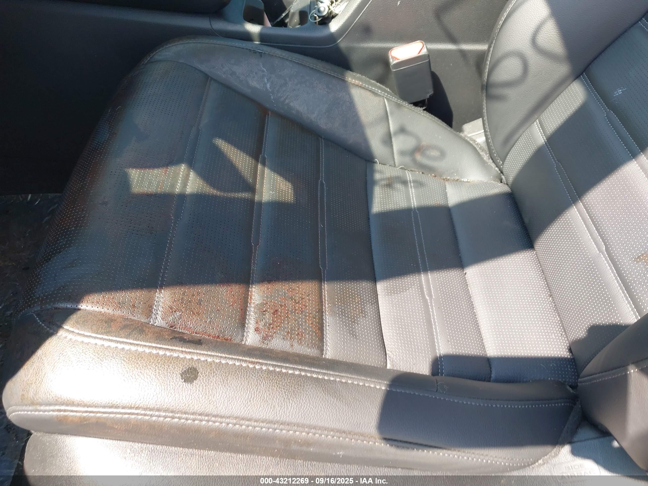 HONDA CR-V image 6