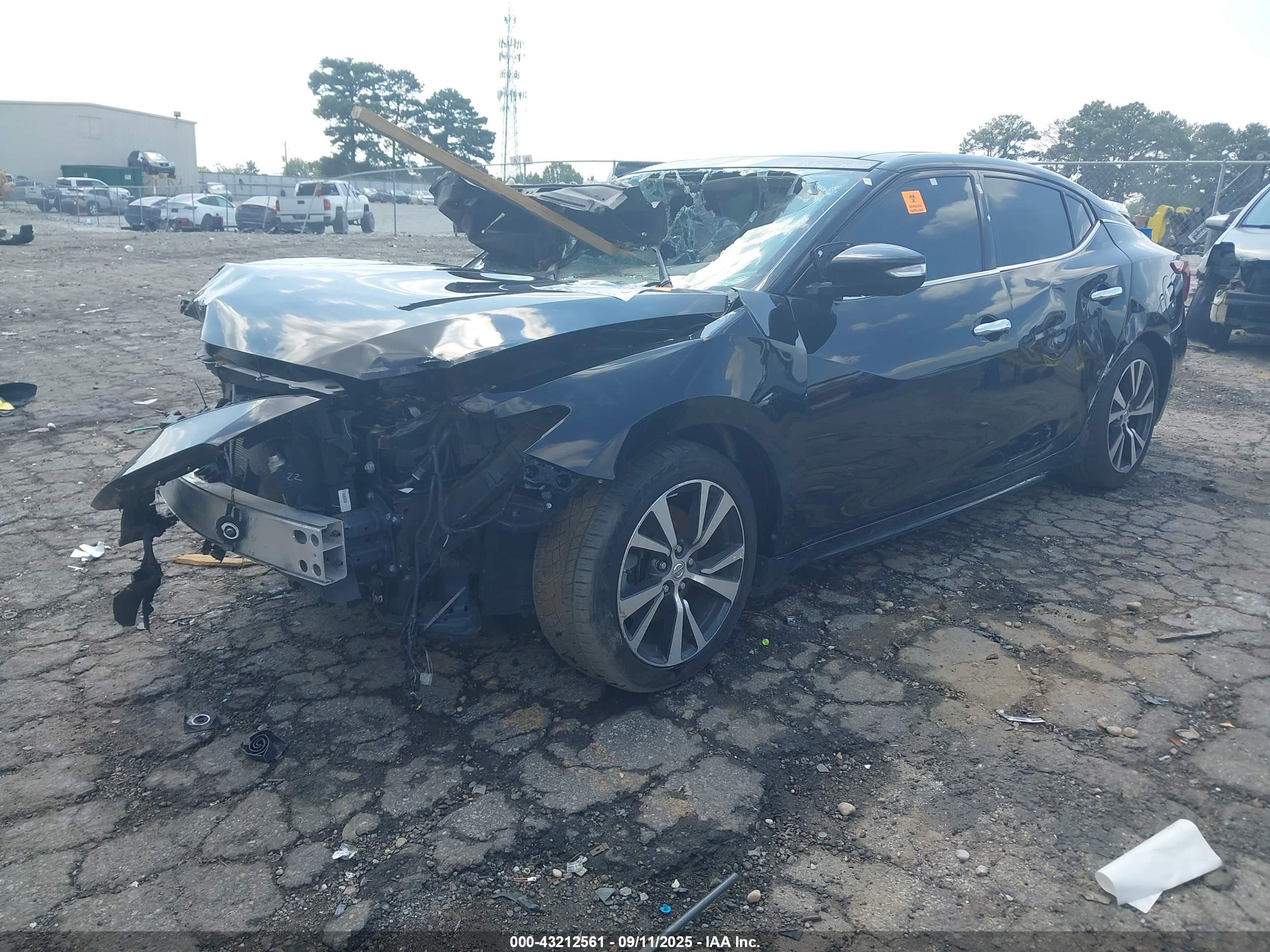 NISSAN MAXIMA image 2