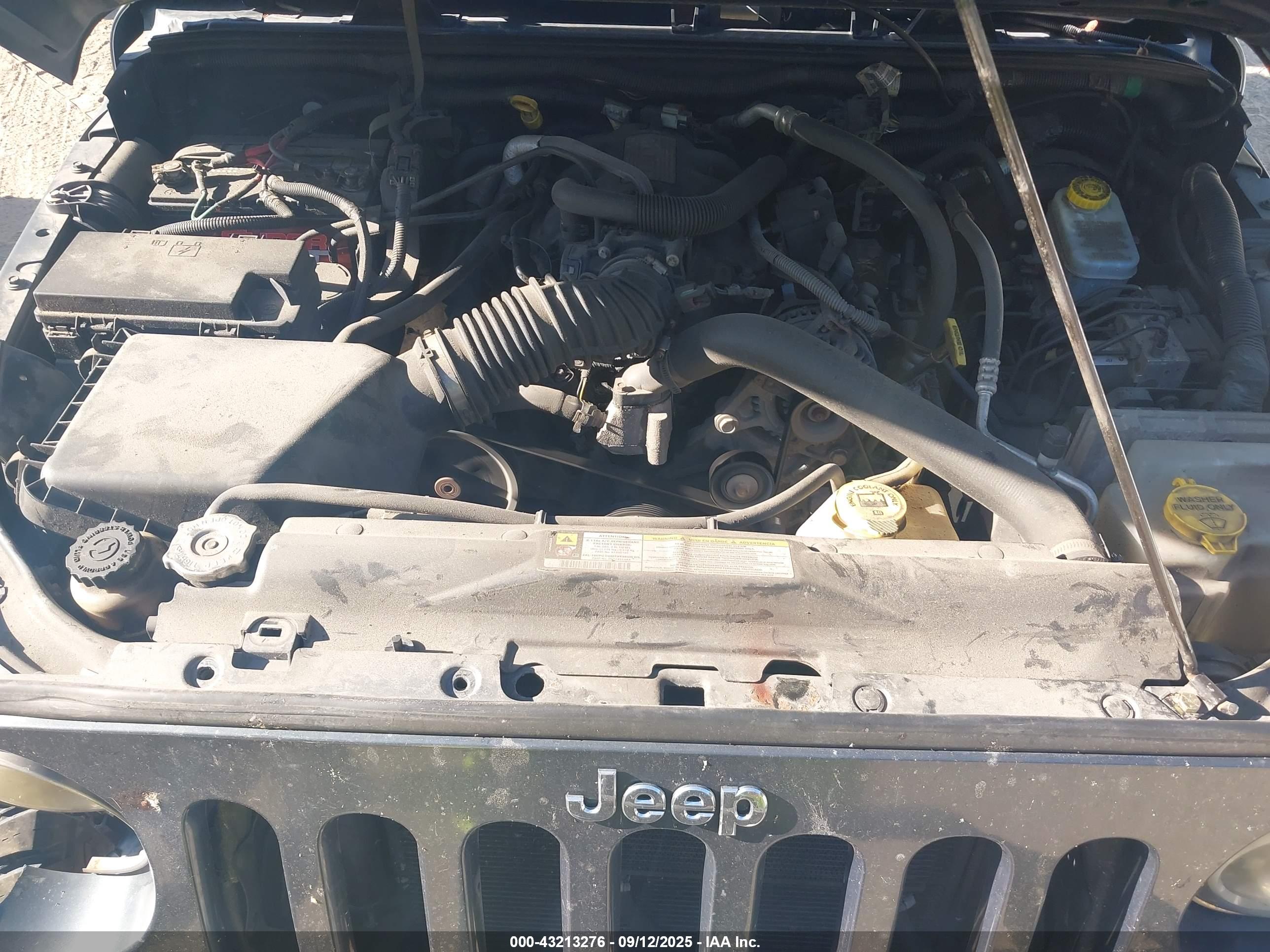 JEEP WRANGLER image 10