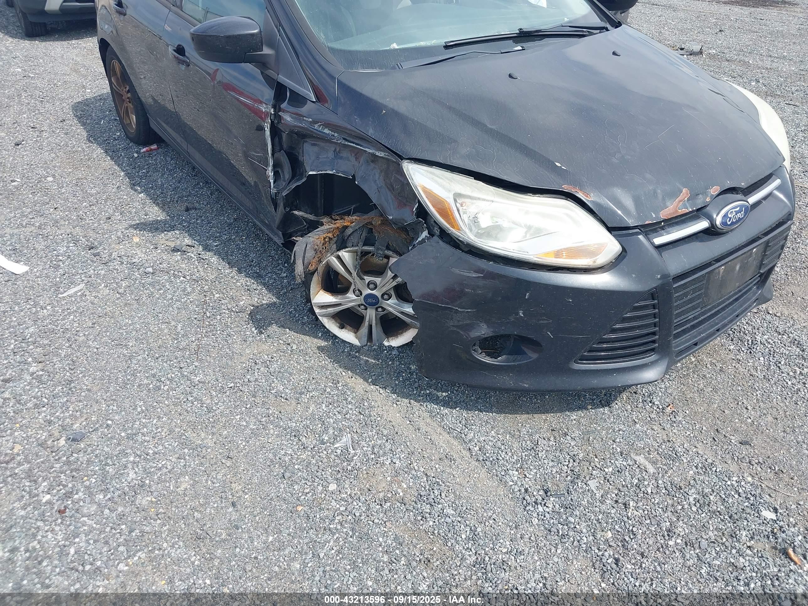 FORD FOCUS image 6
