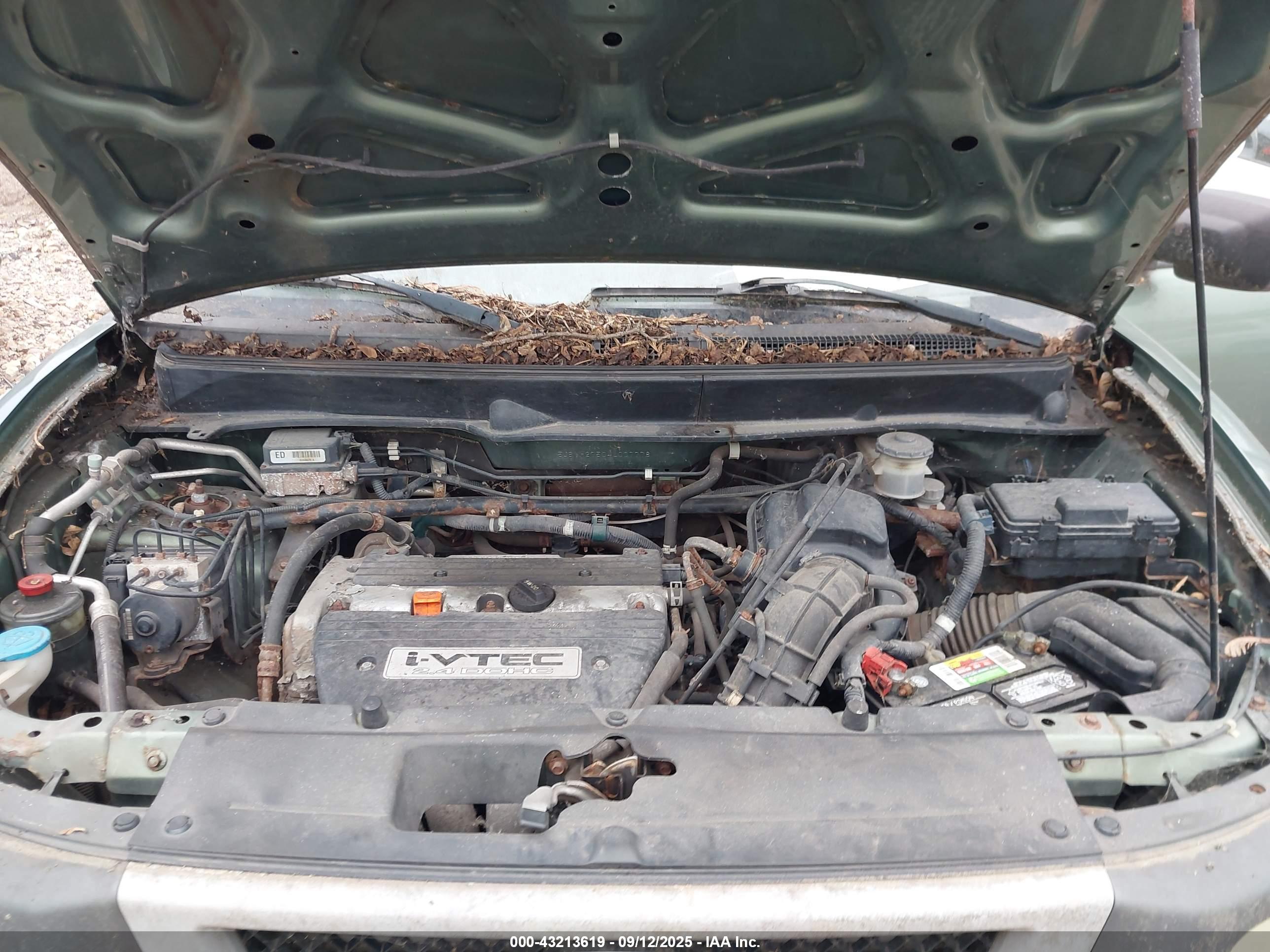 HONDA ELEMENT image 10