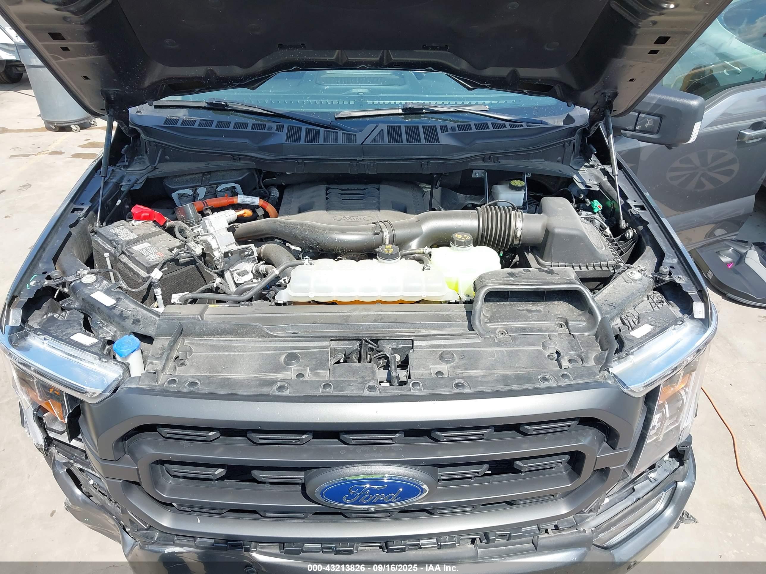 FORD F-150 image 10