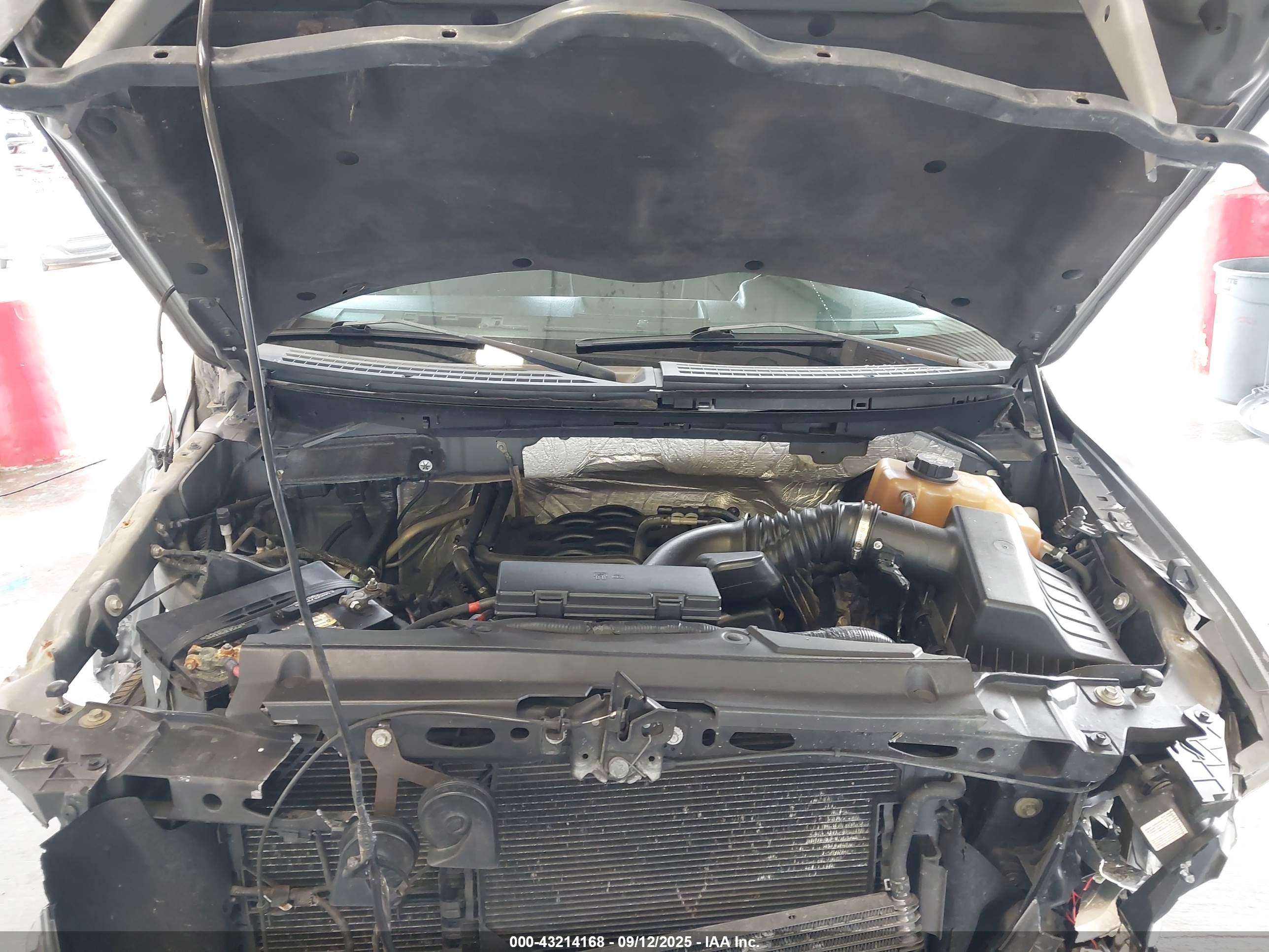 FORD F-150 image 10