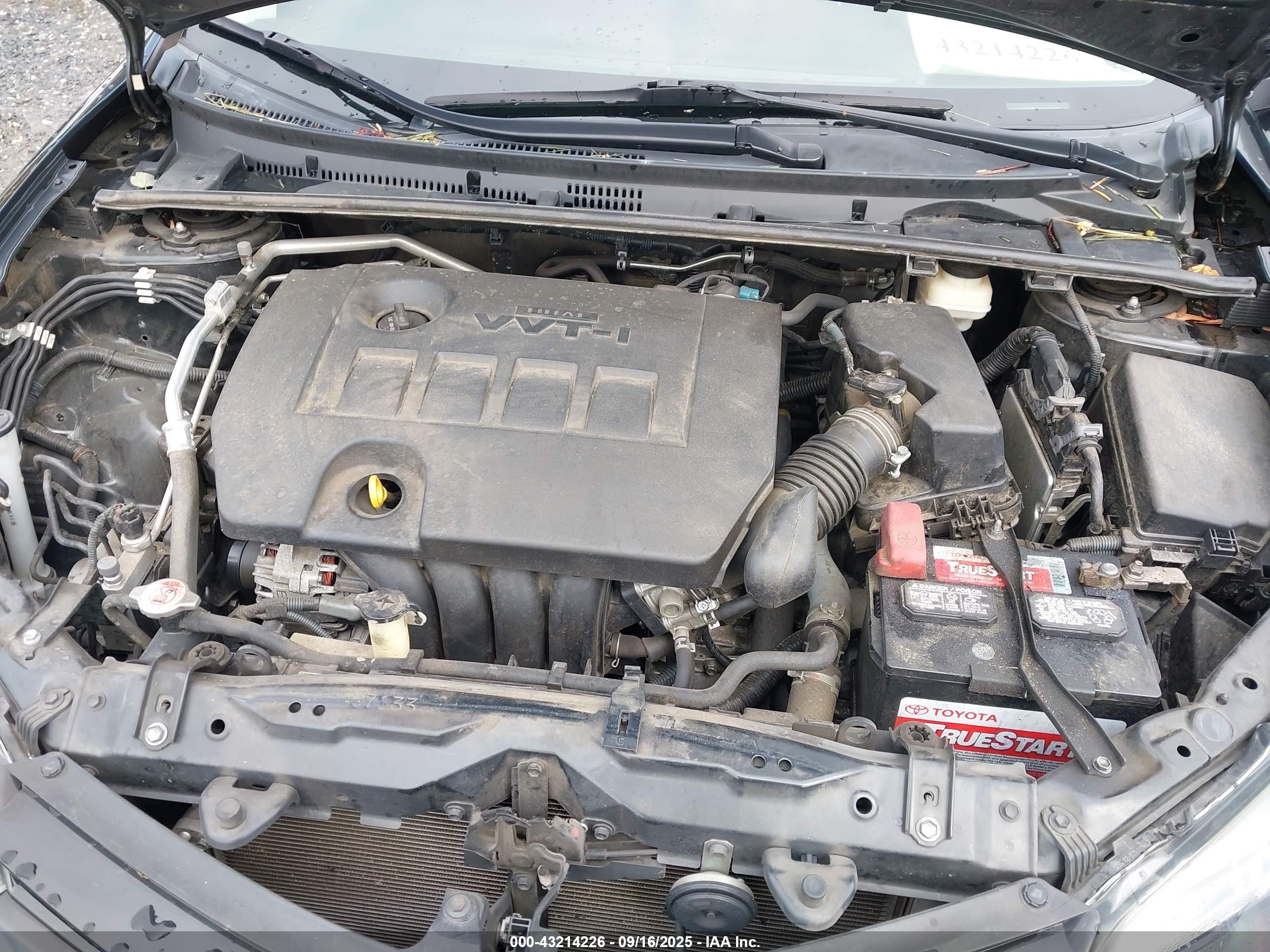 TOYOTA COROLLA image 10