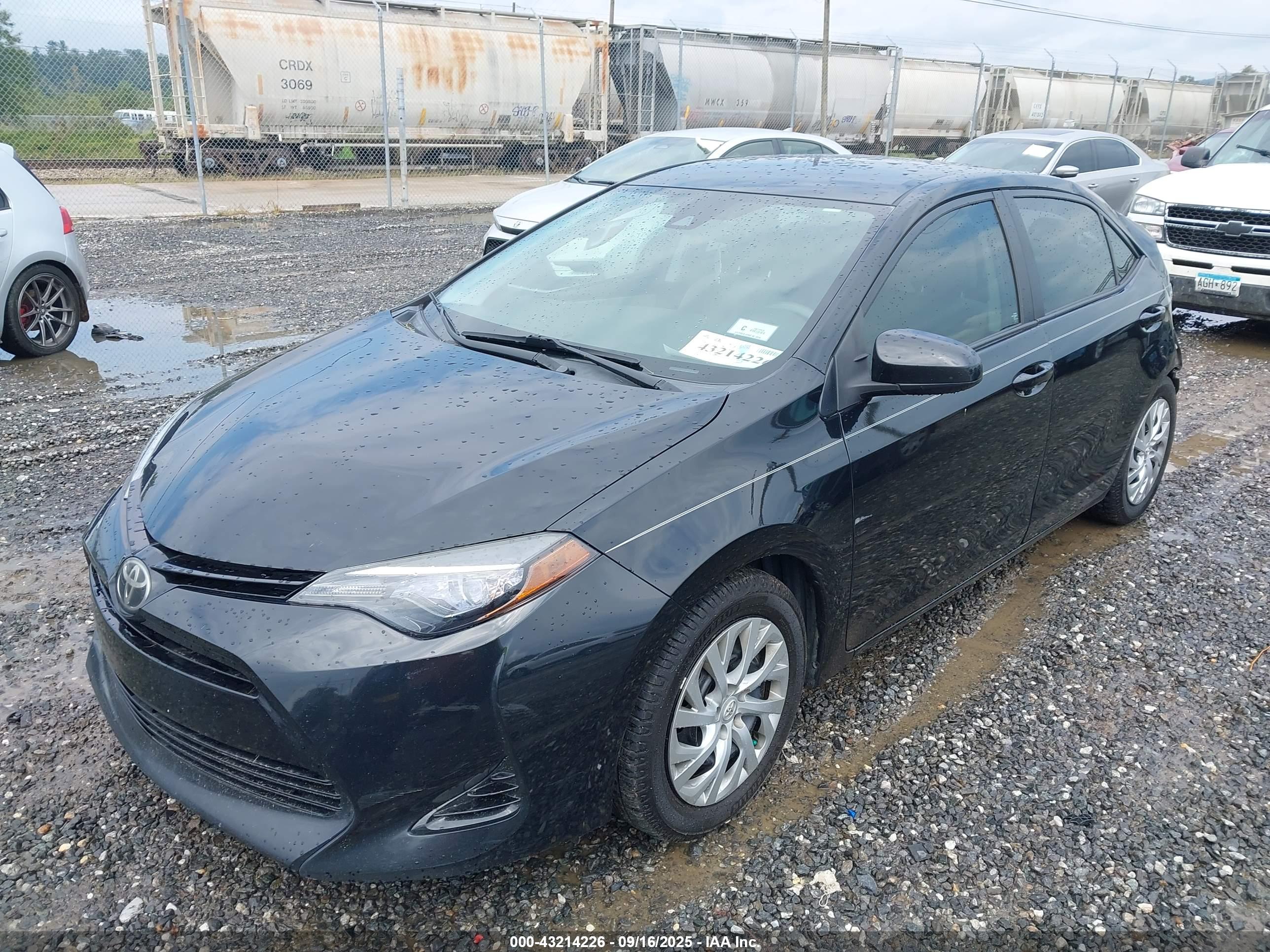TOYOTA COROLLA image 2