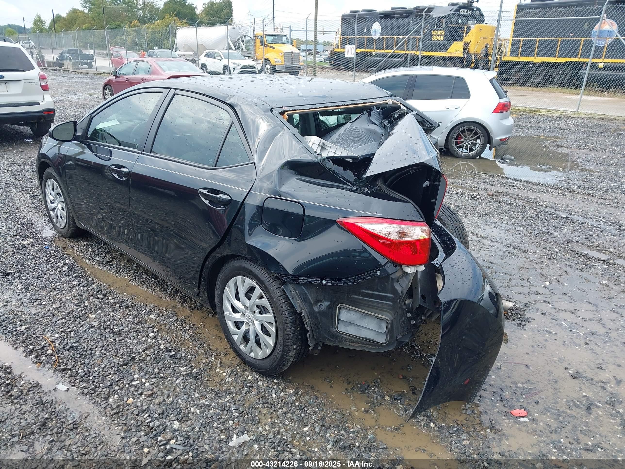 TOYOTA COROLLA image 3