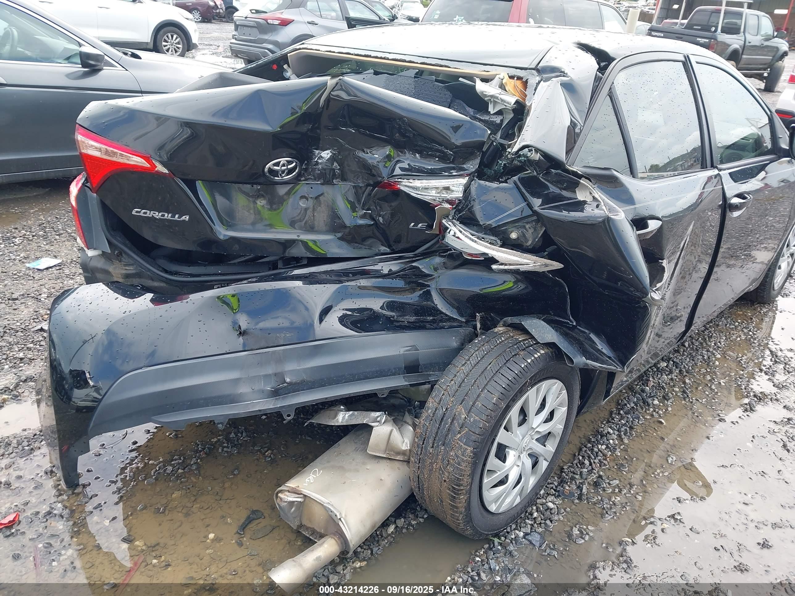 TOYOTA COROLLA image 6