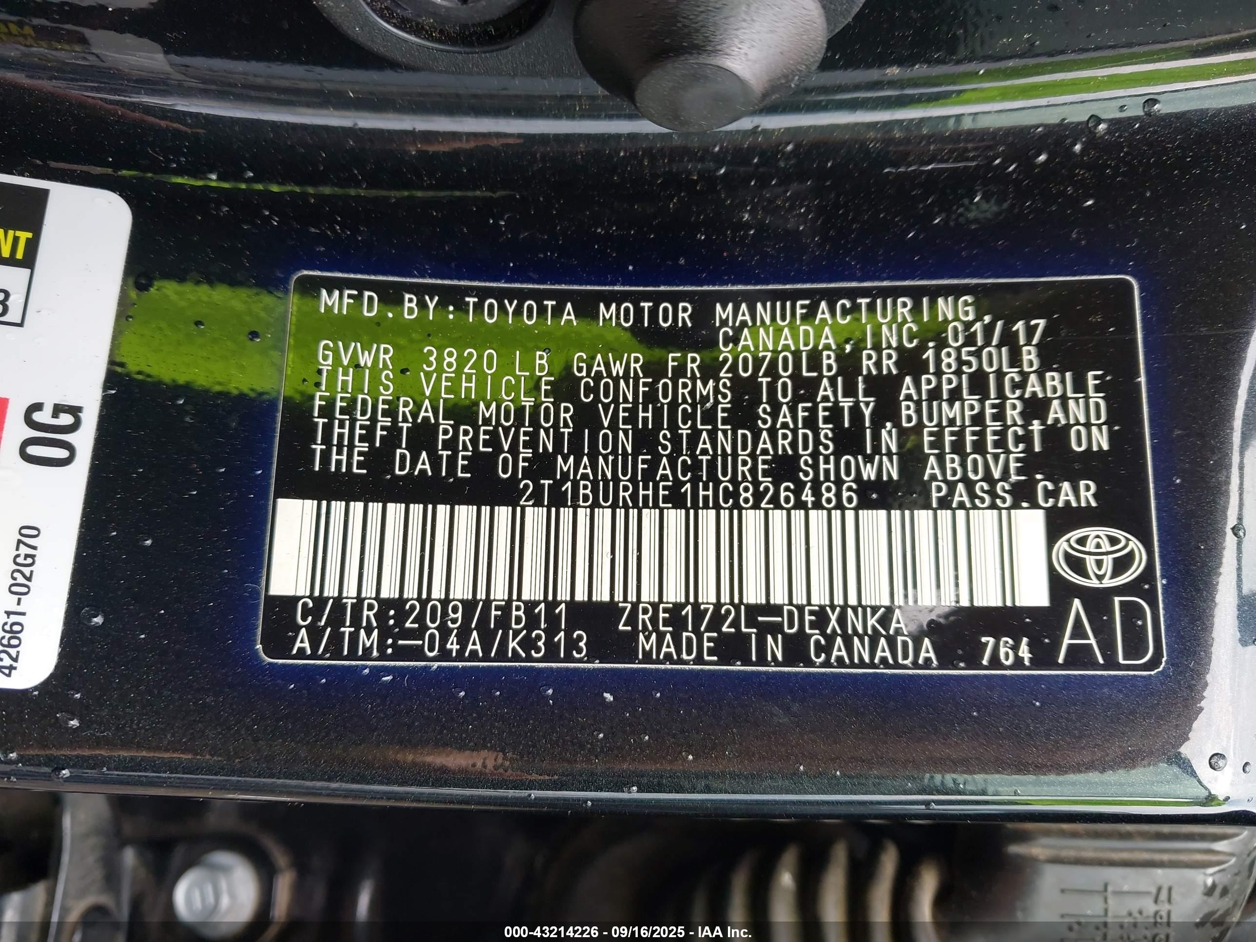 TOYOTA COROLLA image 9