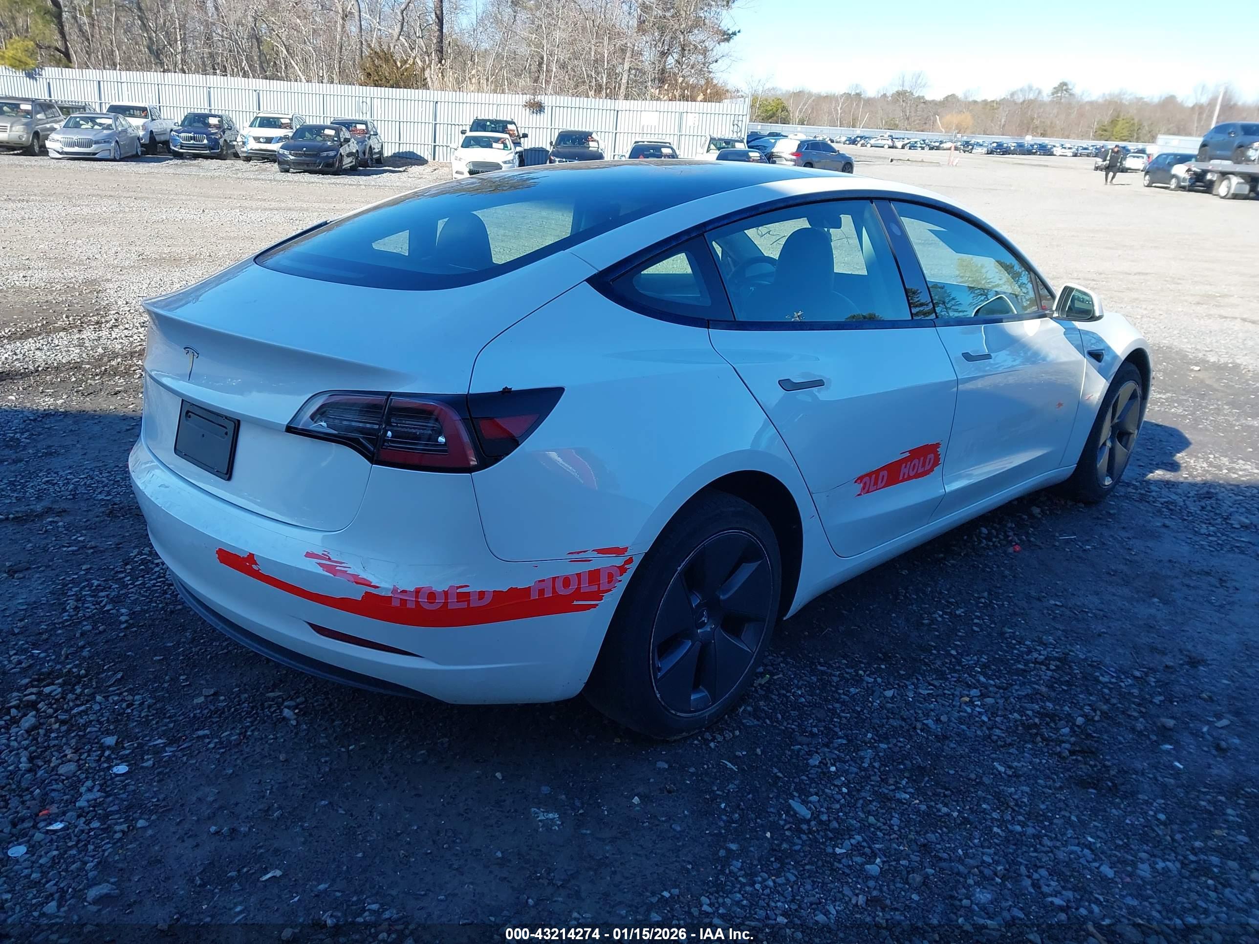 TESLA MODEL image 4