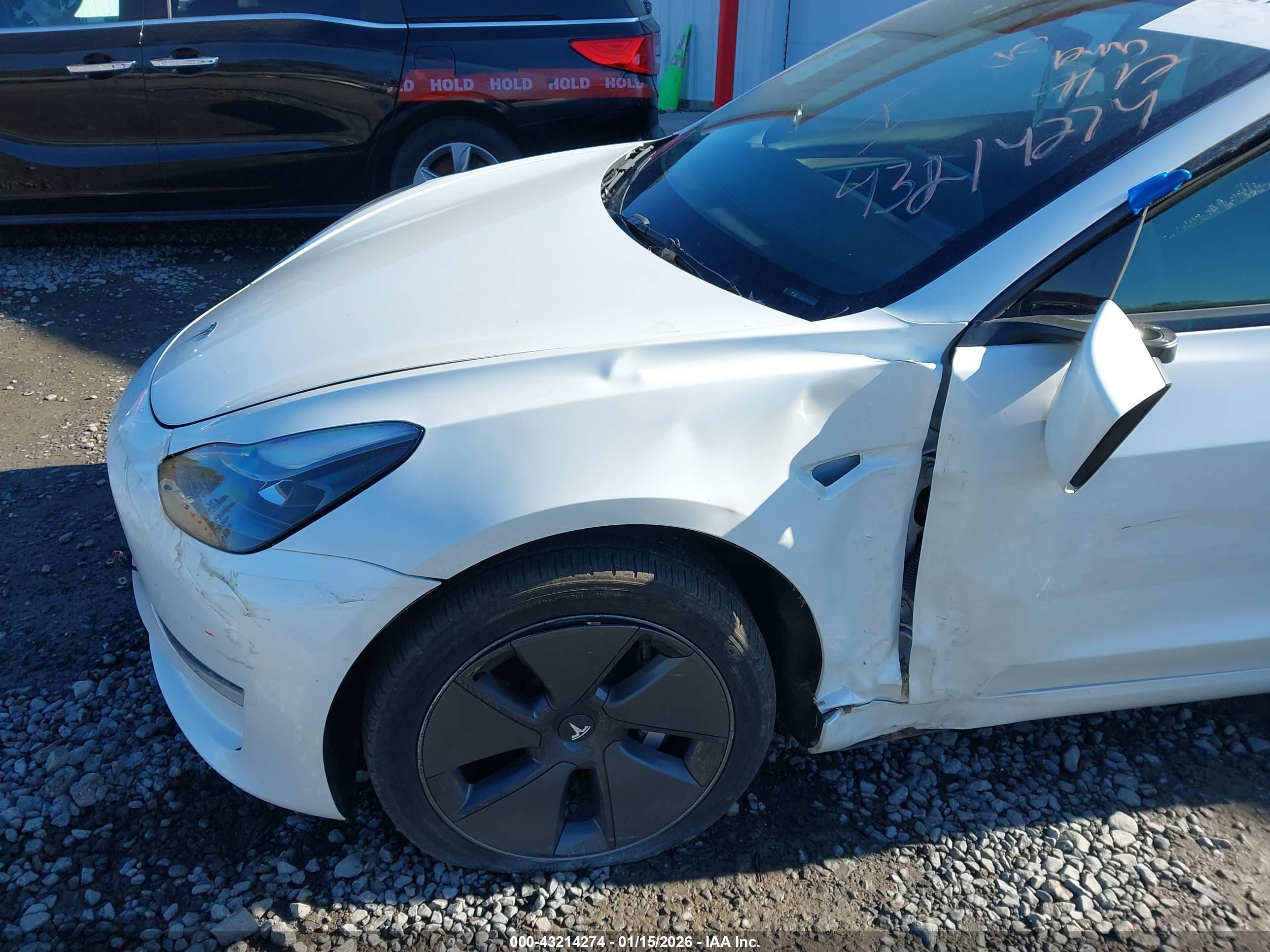 TESLA MODEL image 6