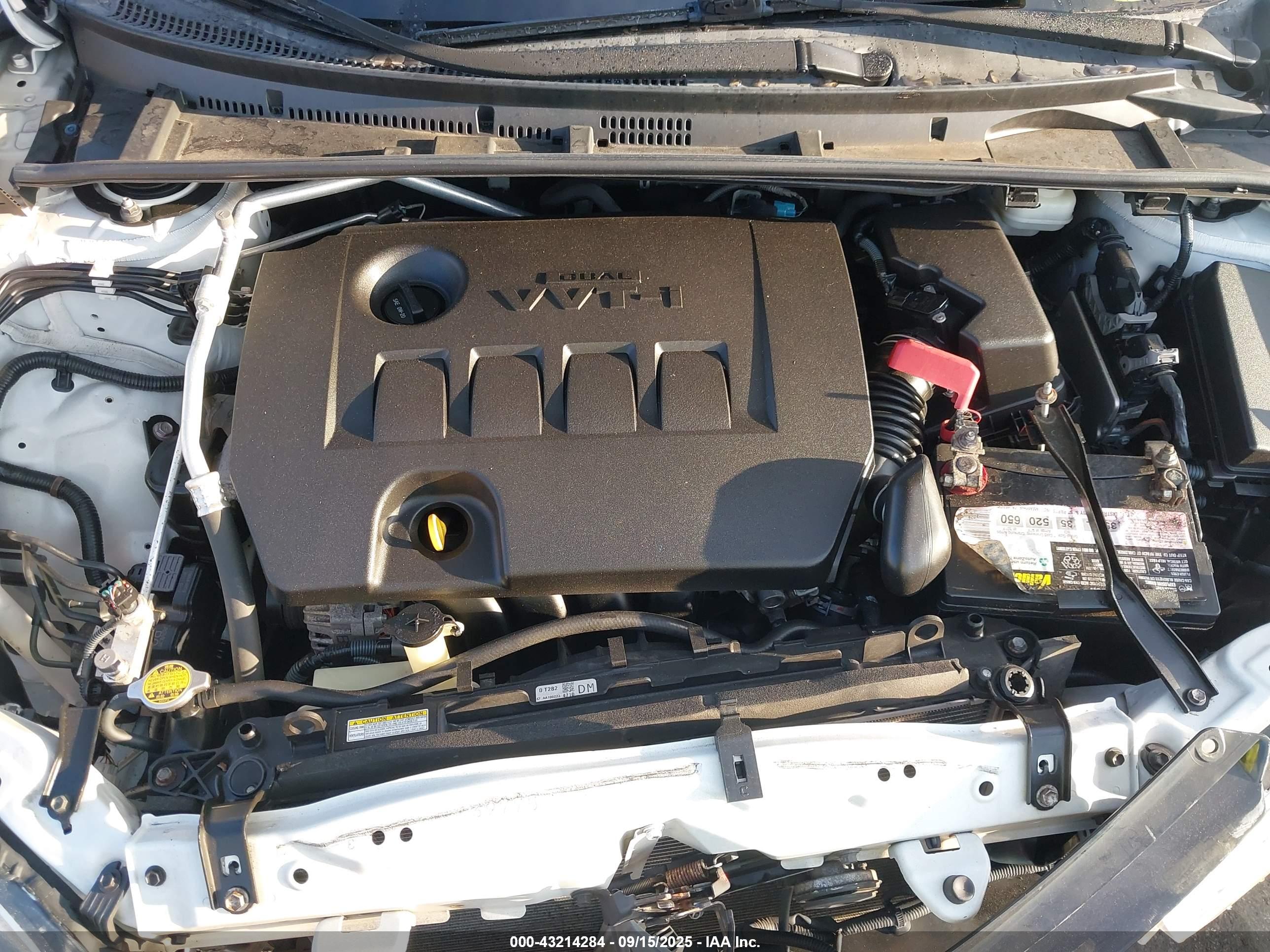 TOYOTA COROLLA image 10