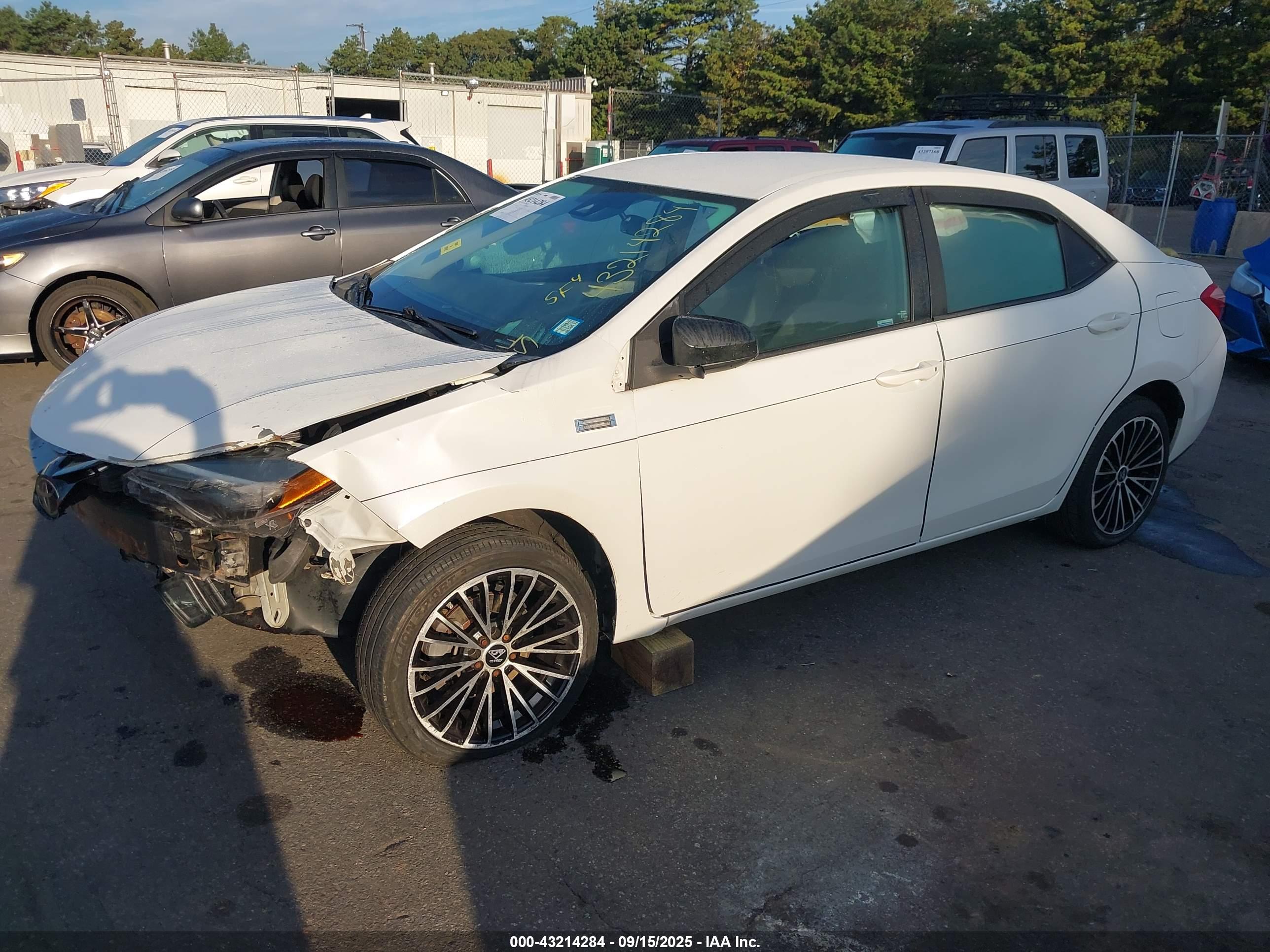 TOYOTA COROLLA image 2