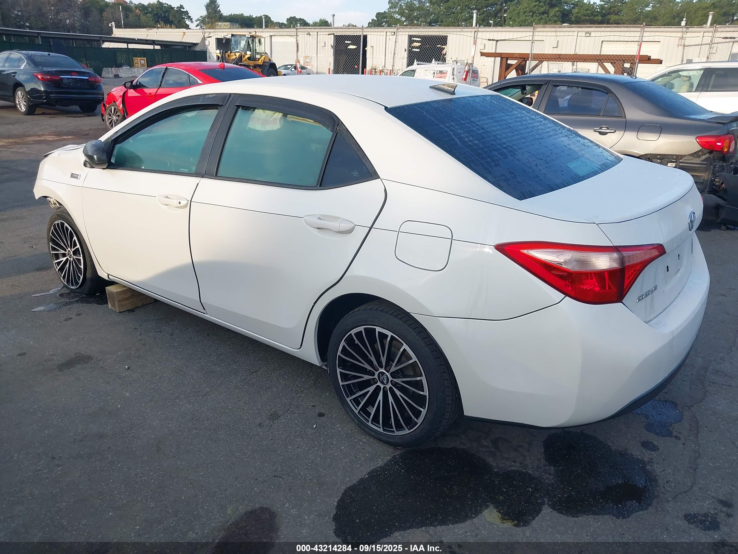 TOYOTA COROLLA image 3