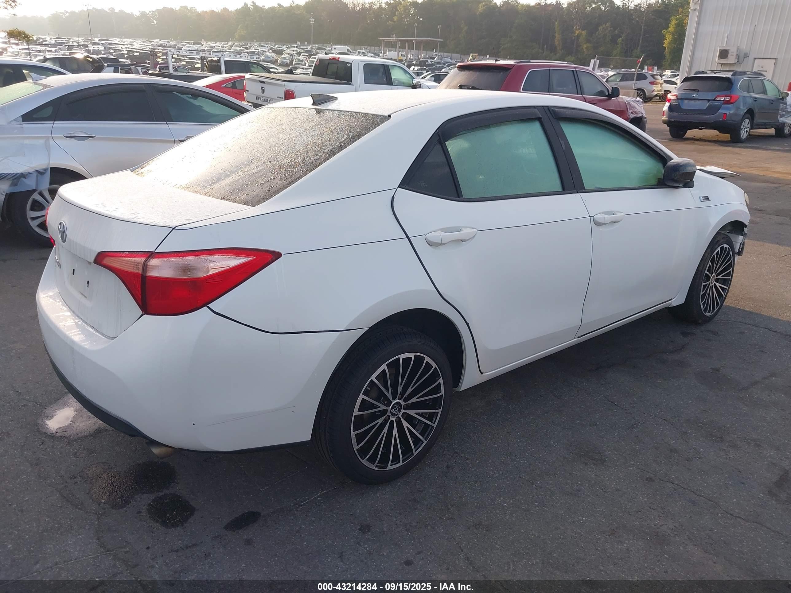 TOYOTA COROLLA image 4