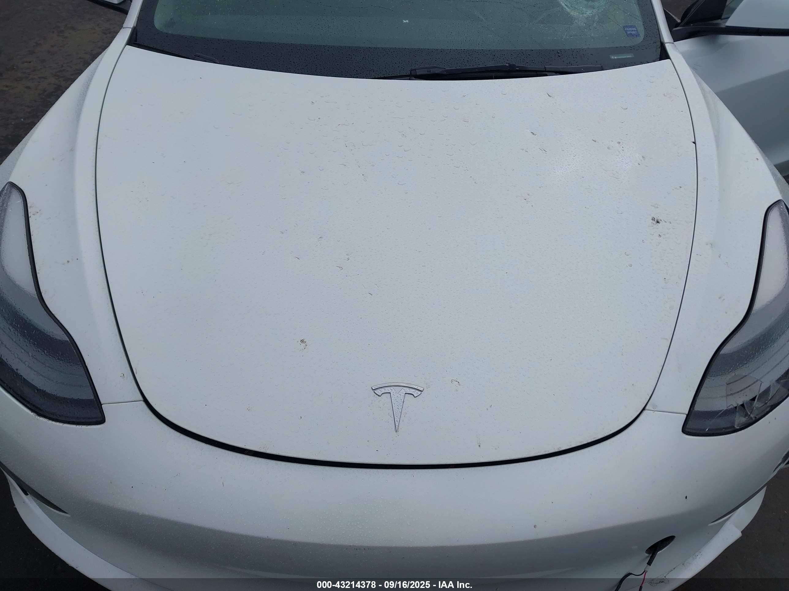 TESLA MODEL image 10