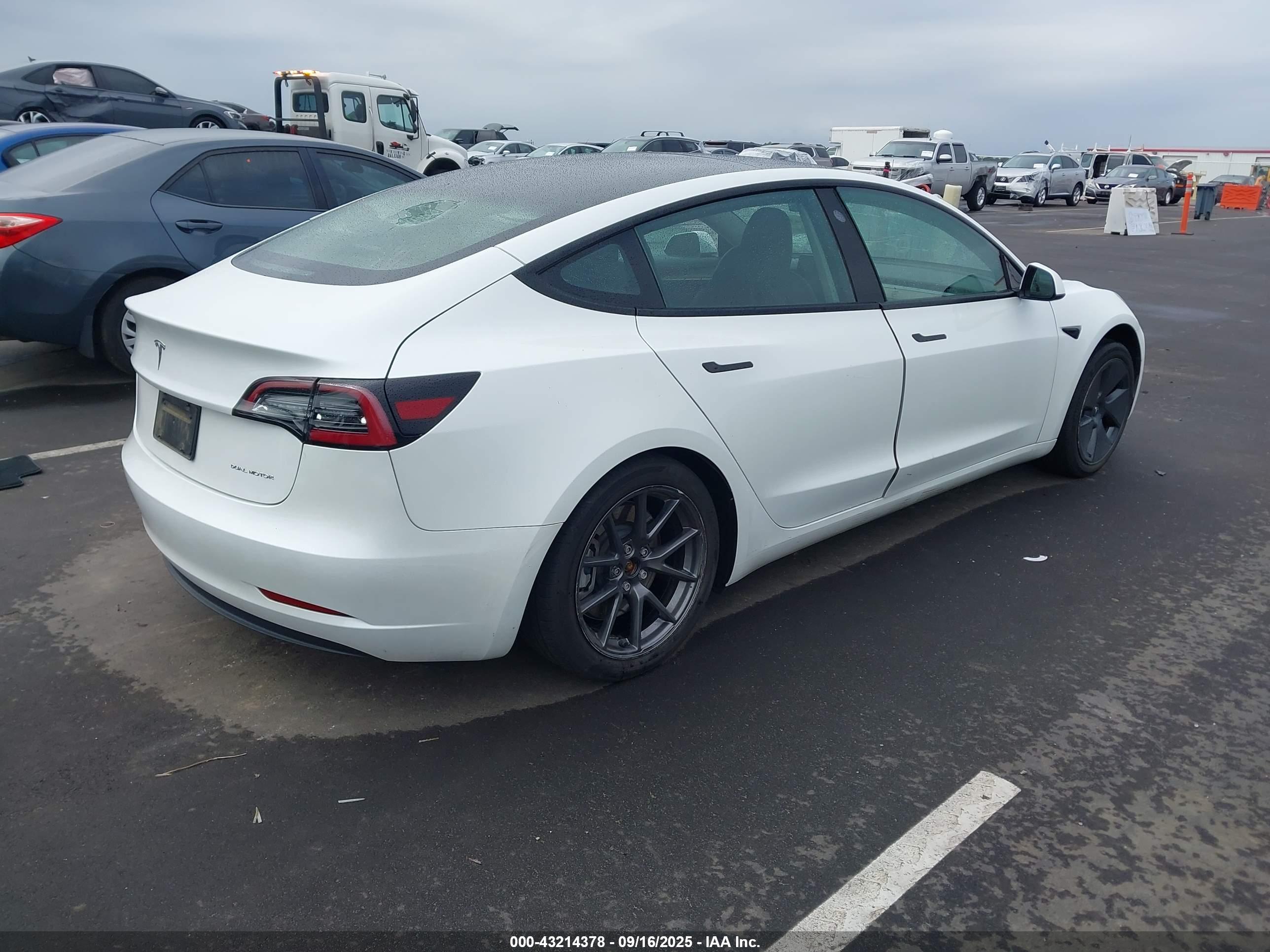TESLA MODEL image 4