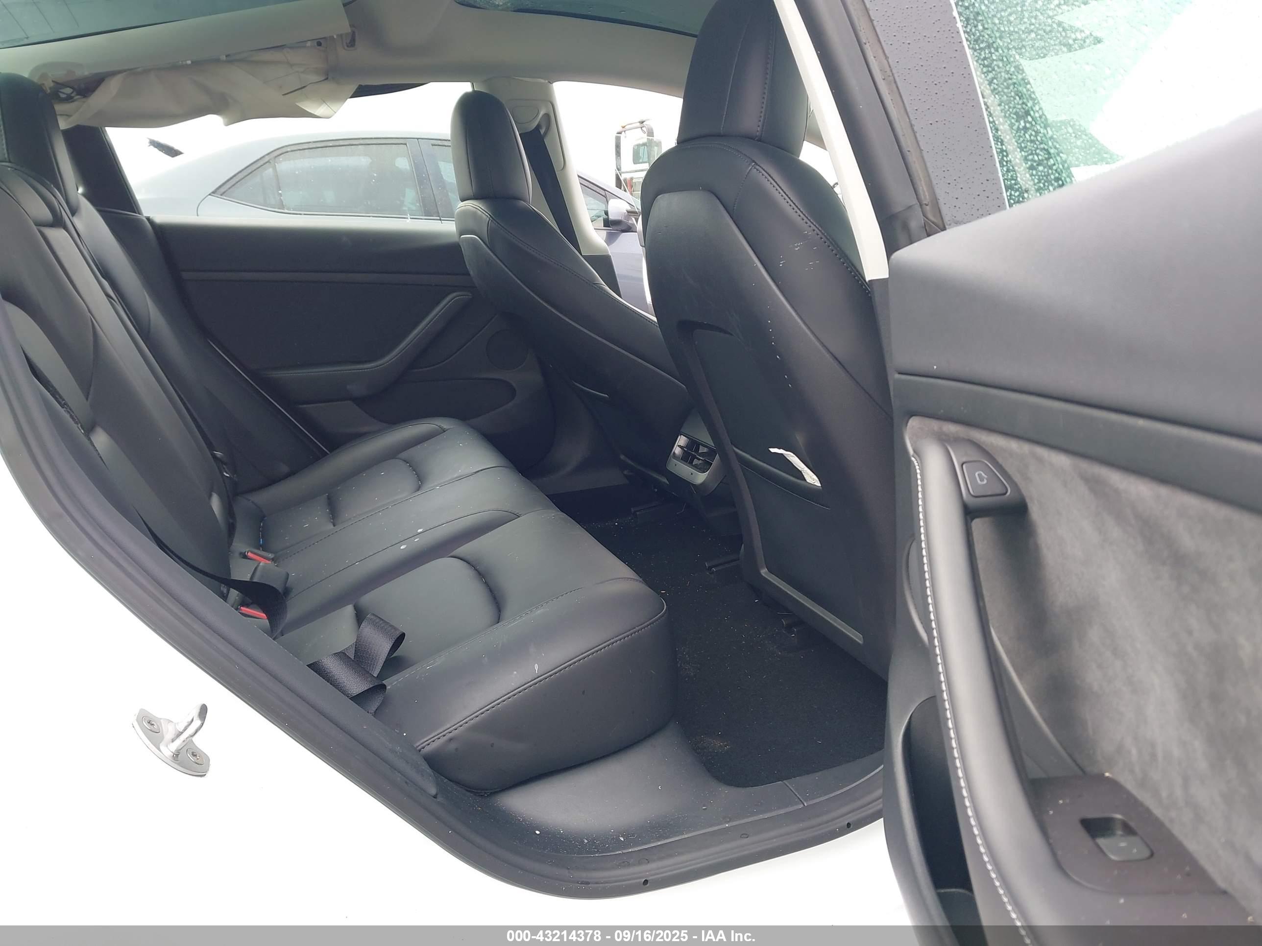TESLA MODEL image 8