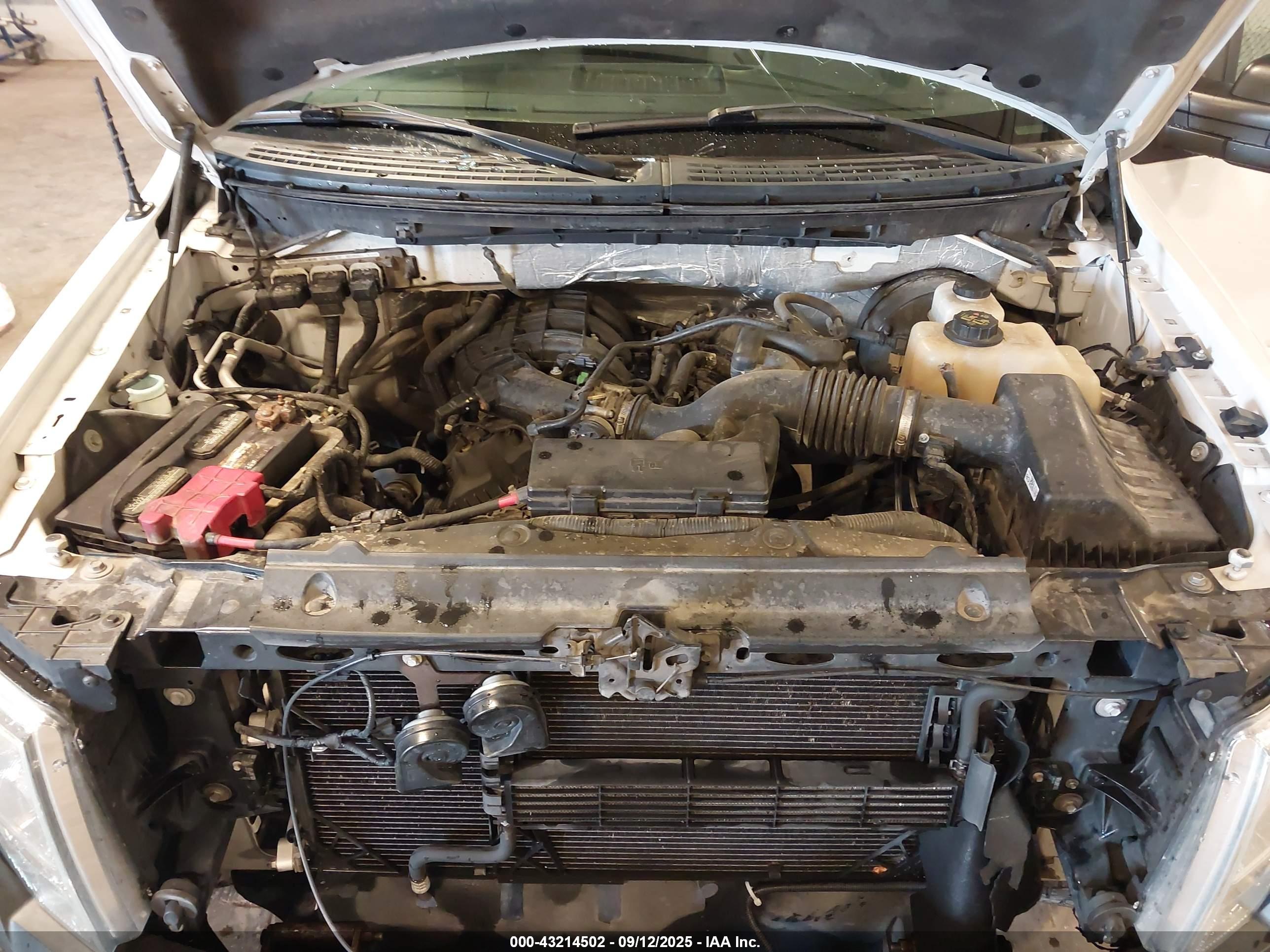 FORD F-150 image 10